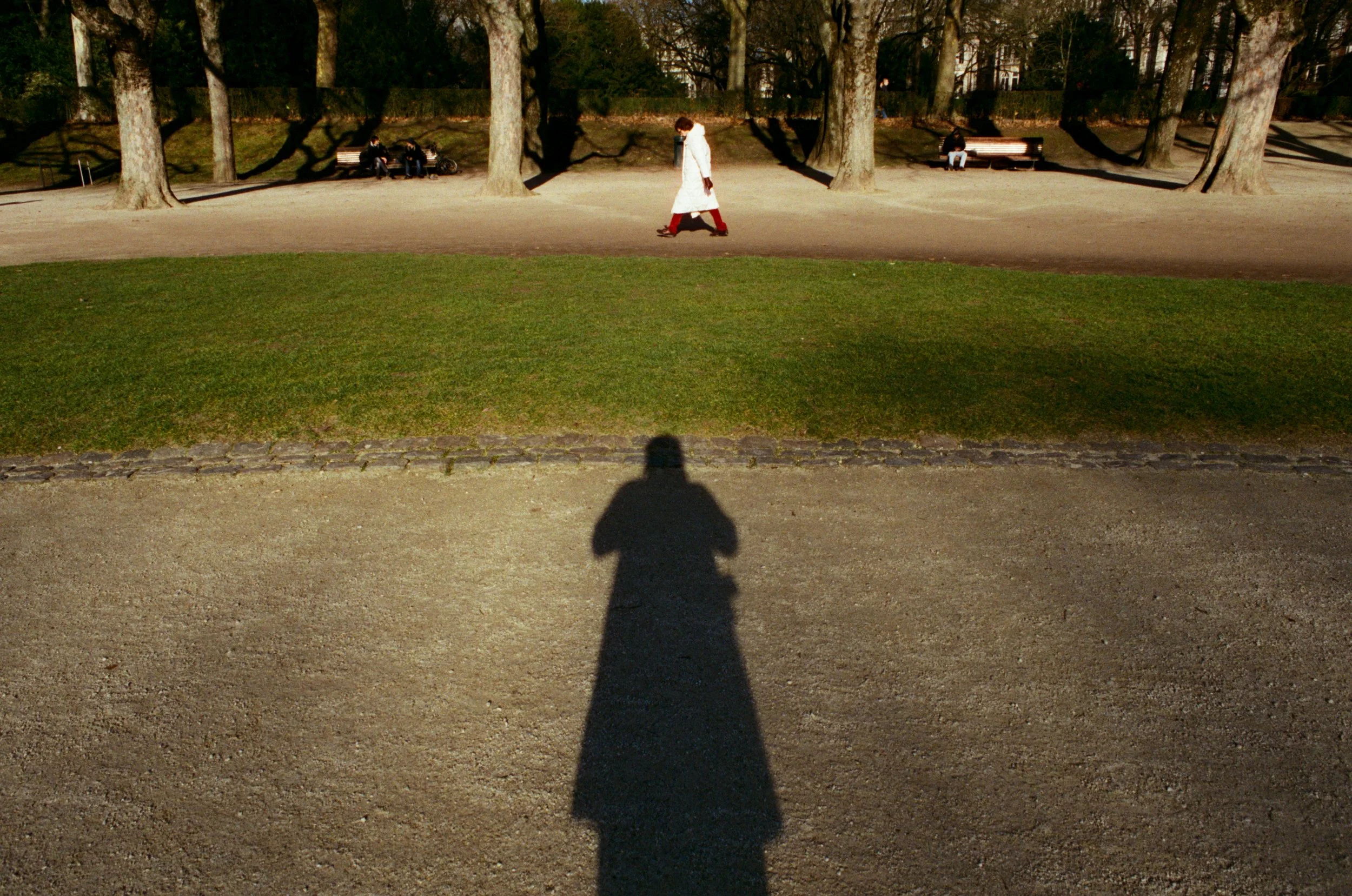 PARC DU CINQUANTENAIRE 2026