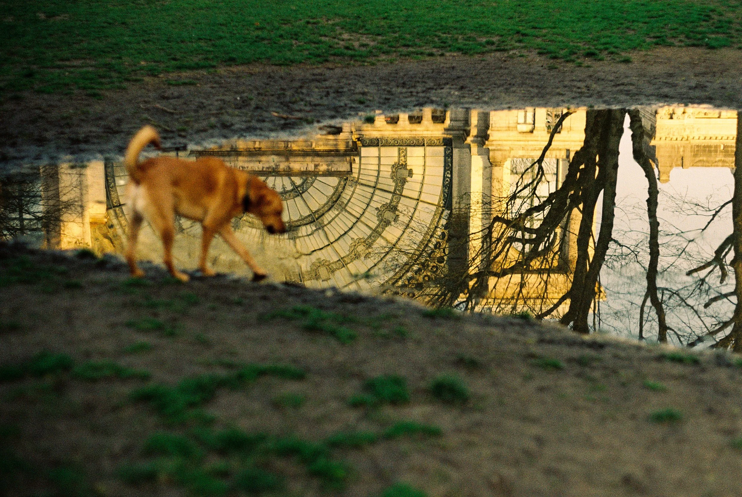 PARC DU CINQUANTENAIRE 2026