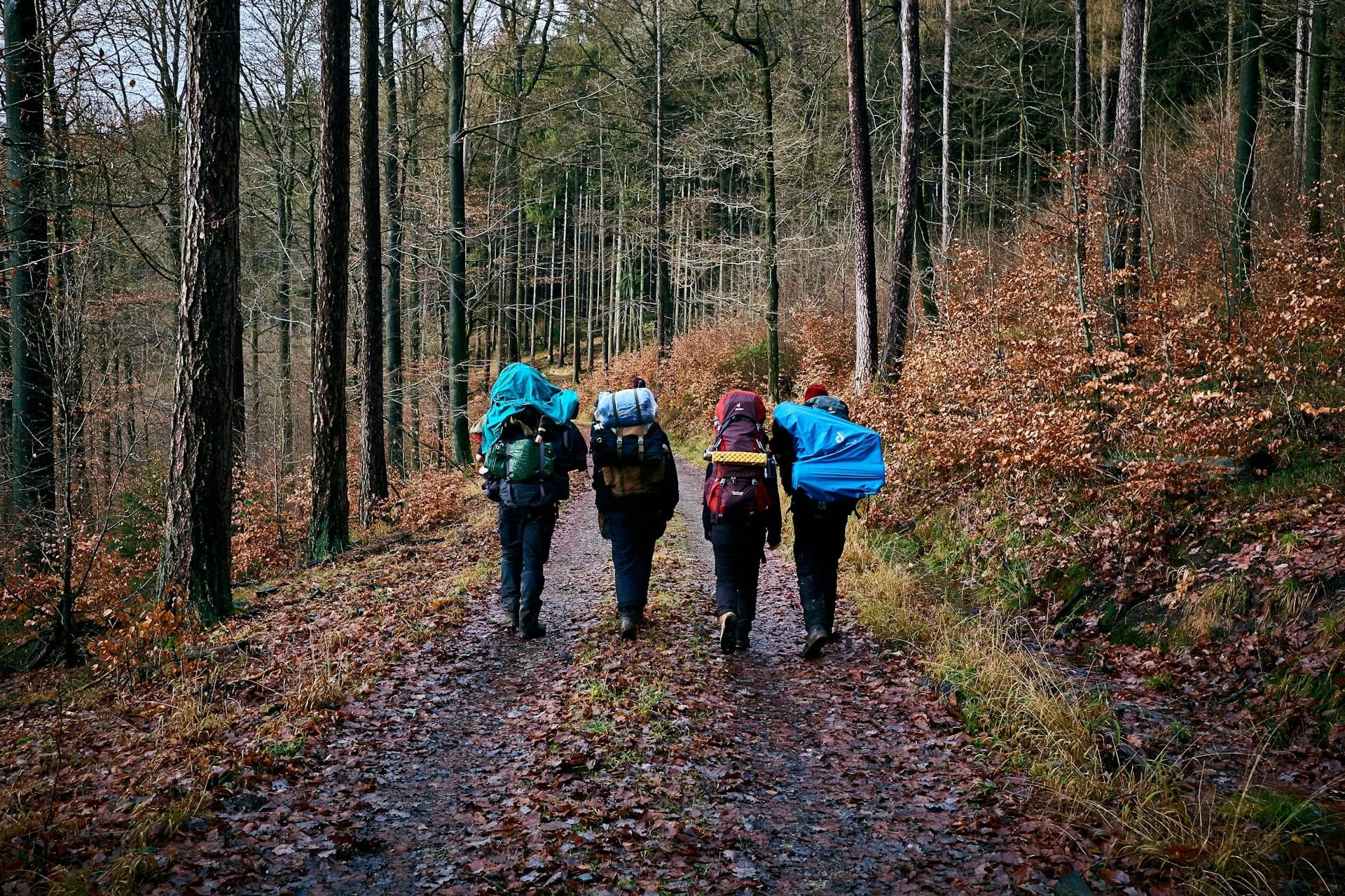 A group on a hiking activity in Welden Woods