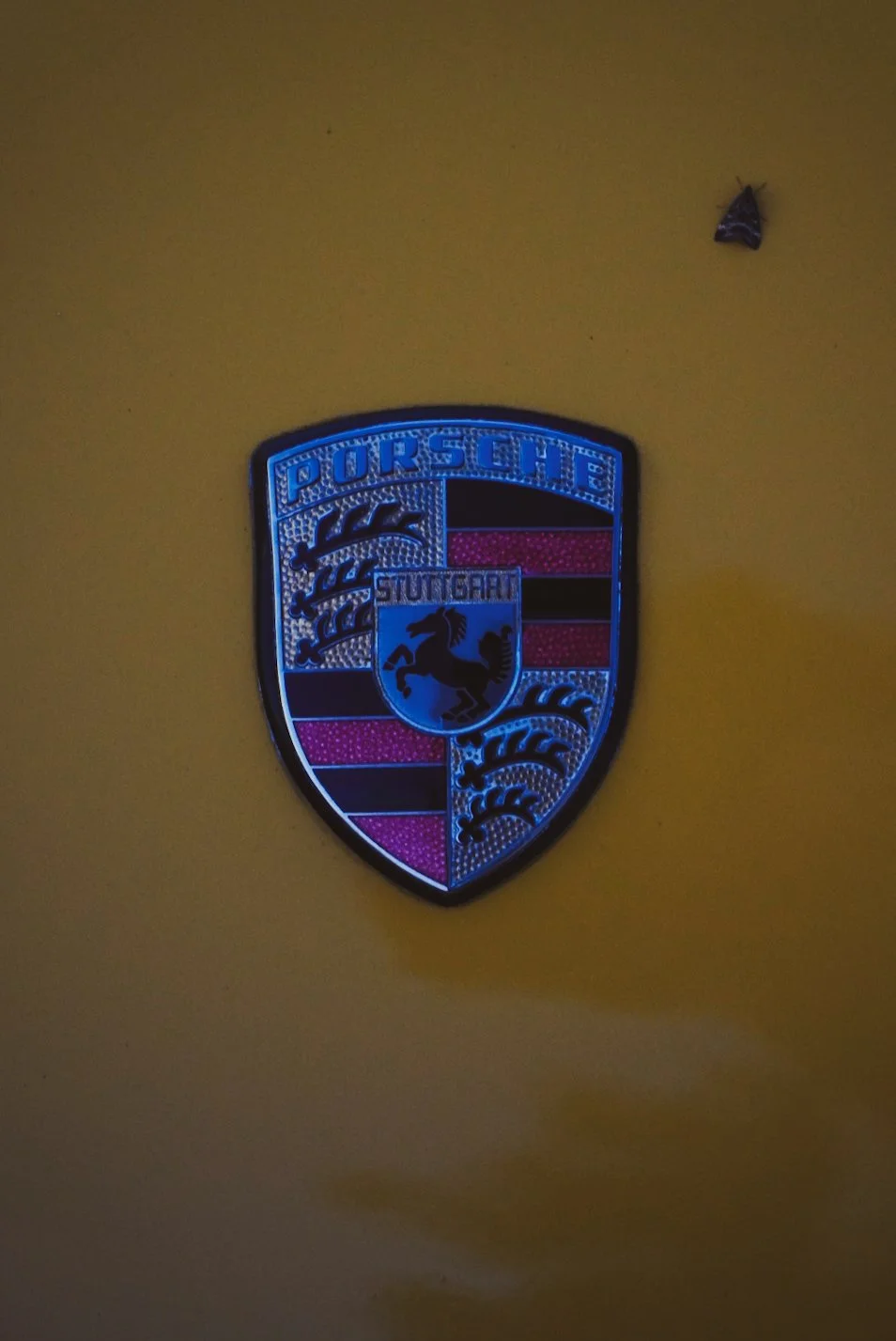 _JDG9515.JPG
