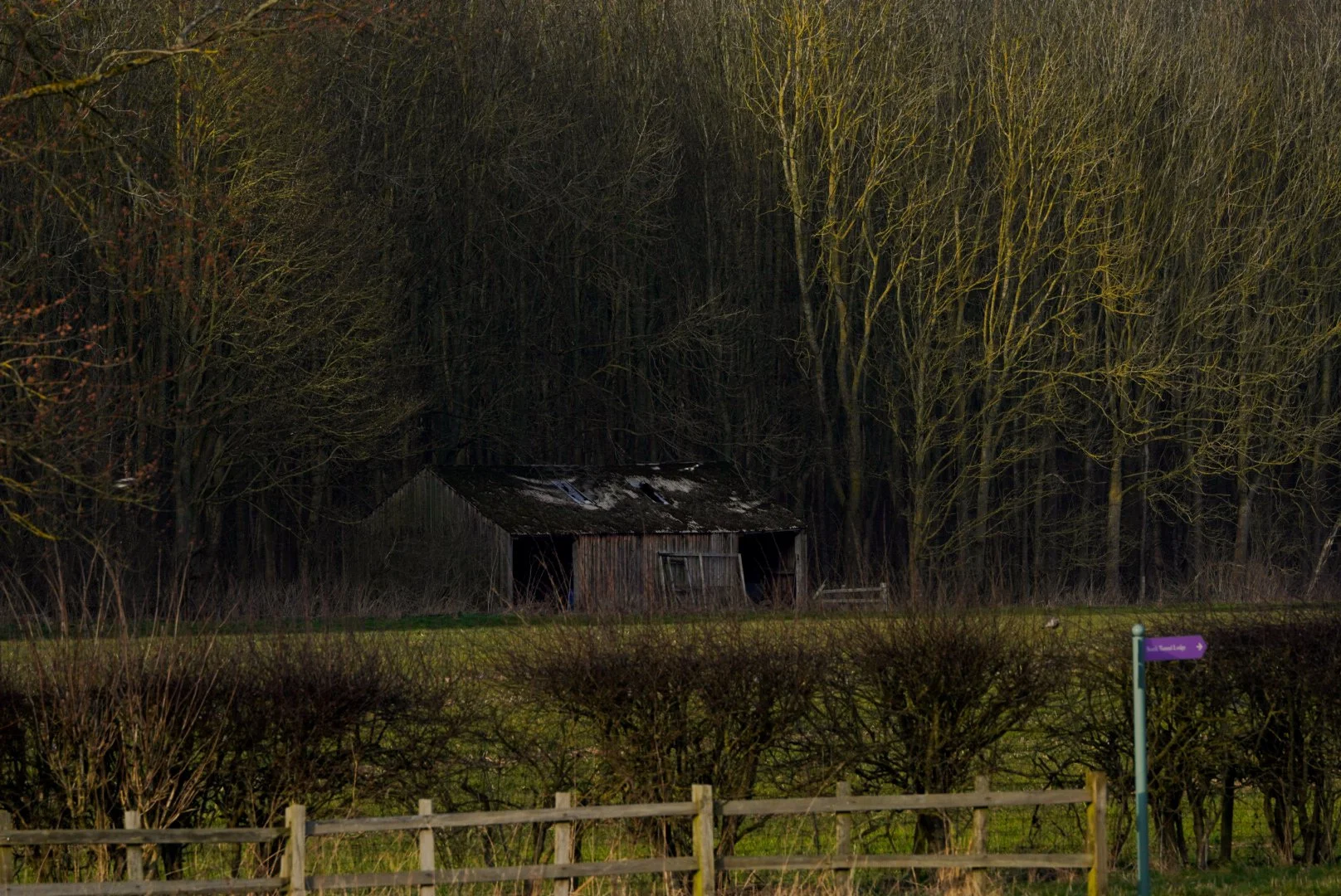 _DSC3064.JPG