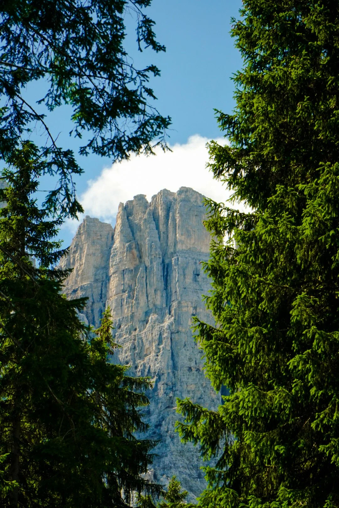 _JDG0344.JPG
