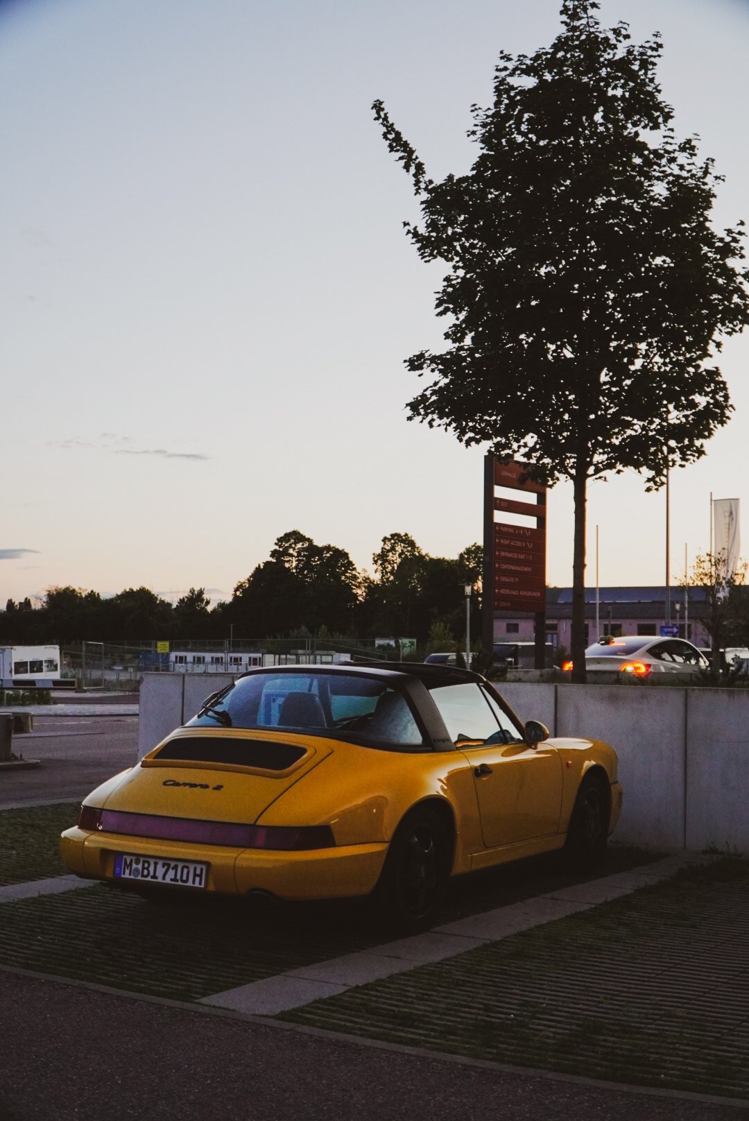 _JDG9377.JPG