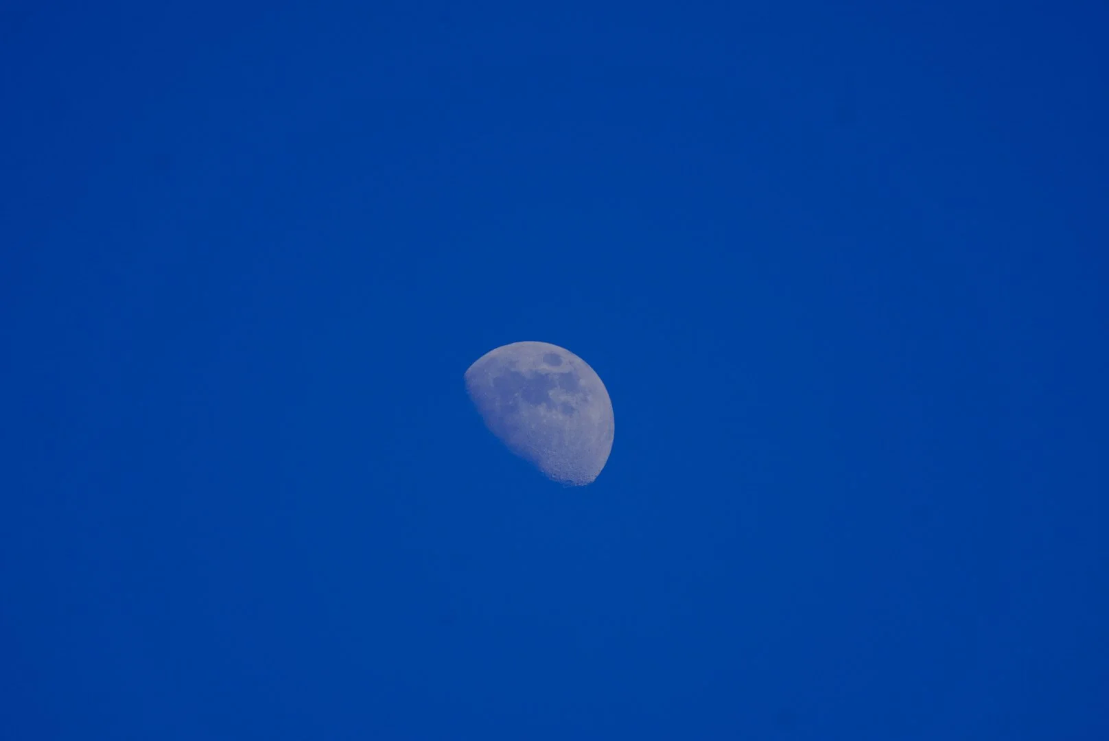 _DSC2635.JPG