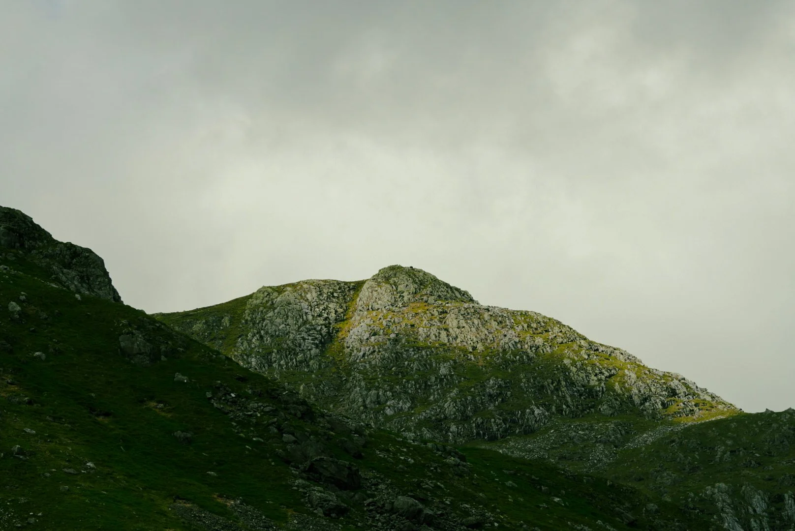 _JDG0735.JPG