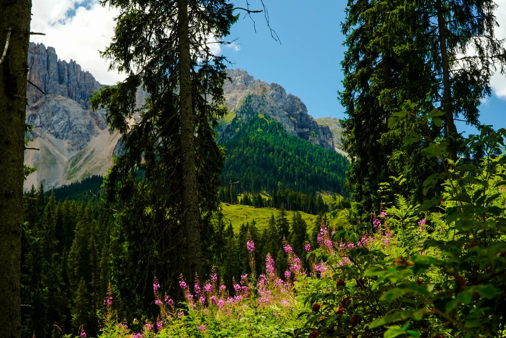 _JDG0454.JPG