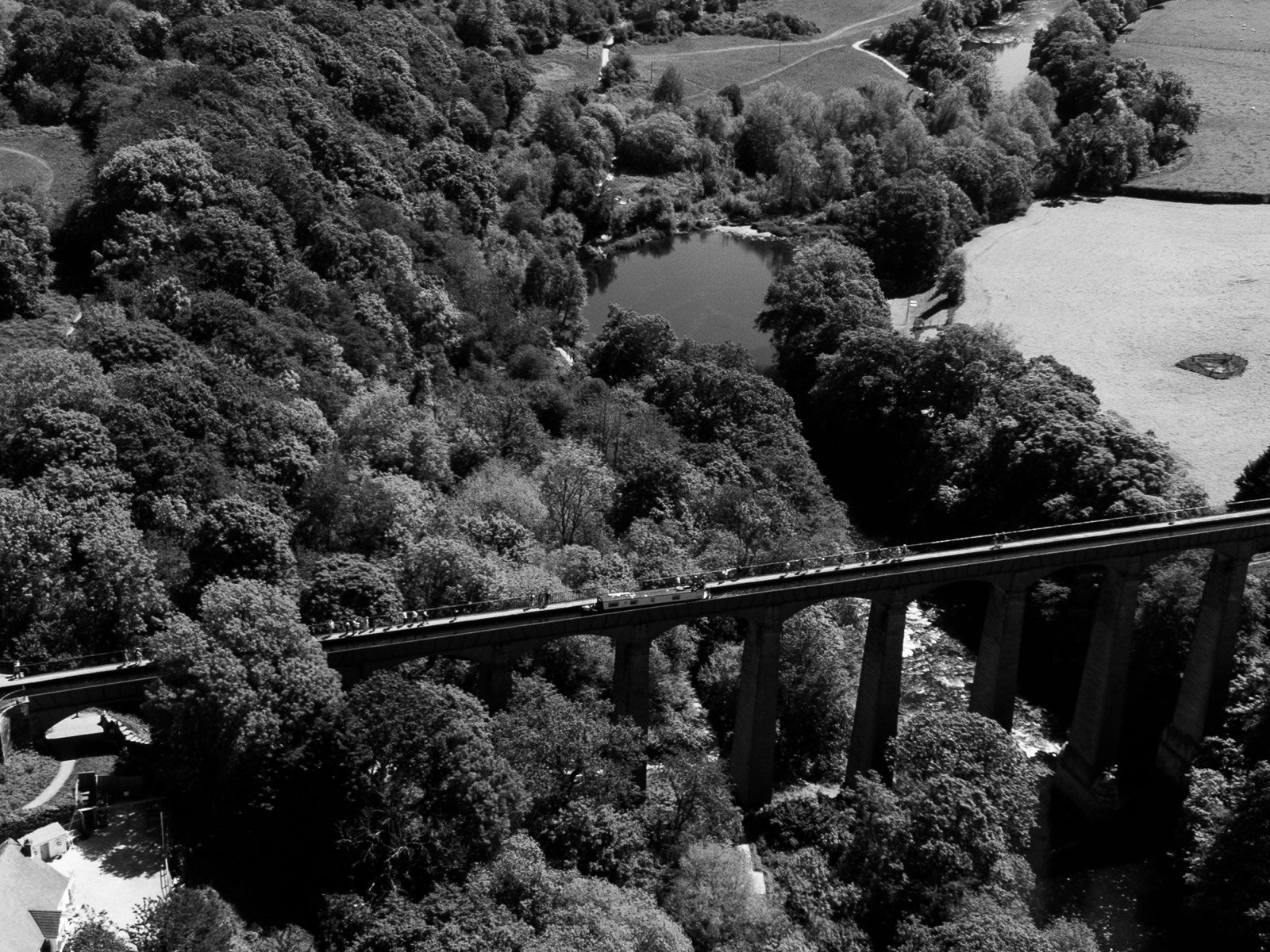 DJI_0058 2.jpg