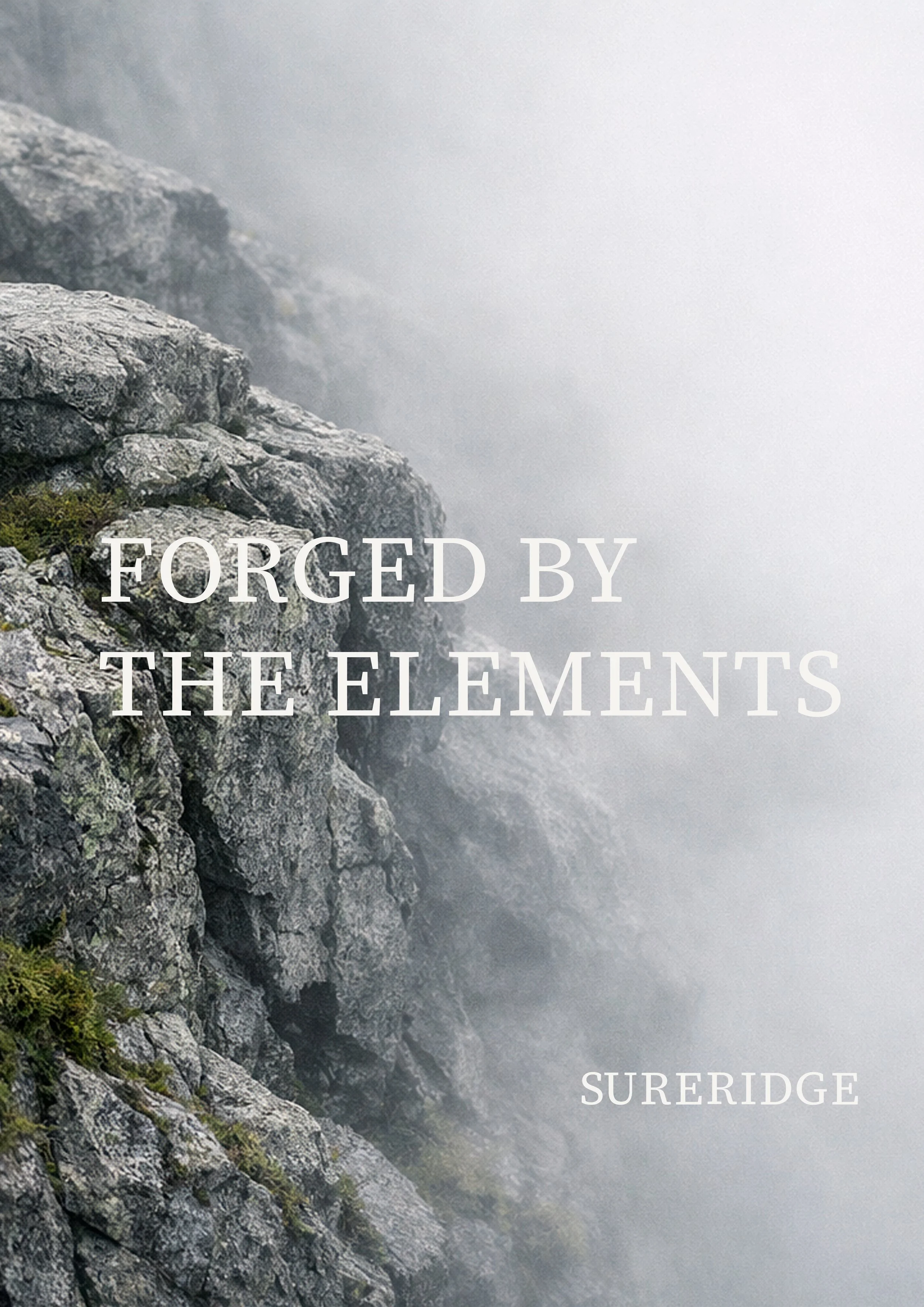 poster_Sureridge-03 final ok.jpg