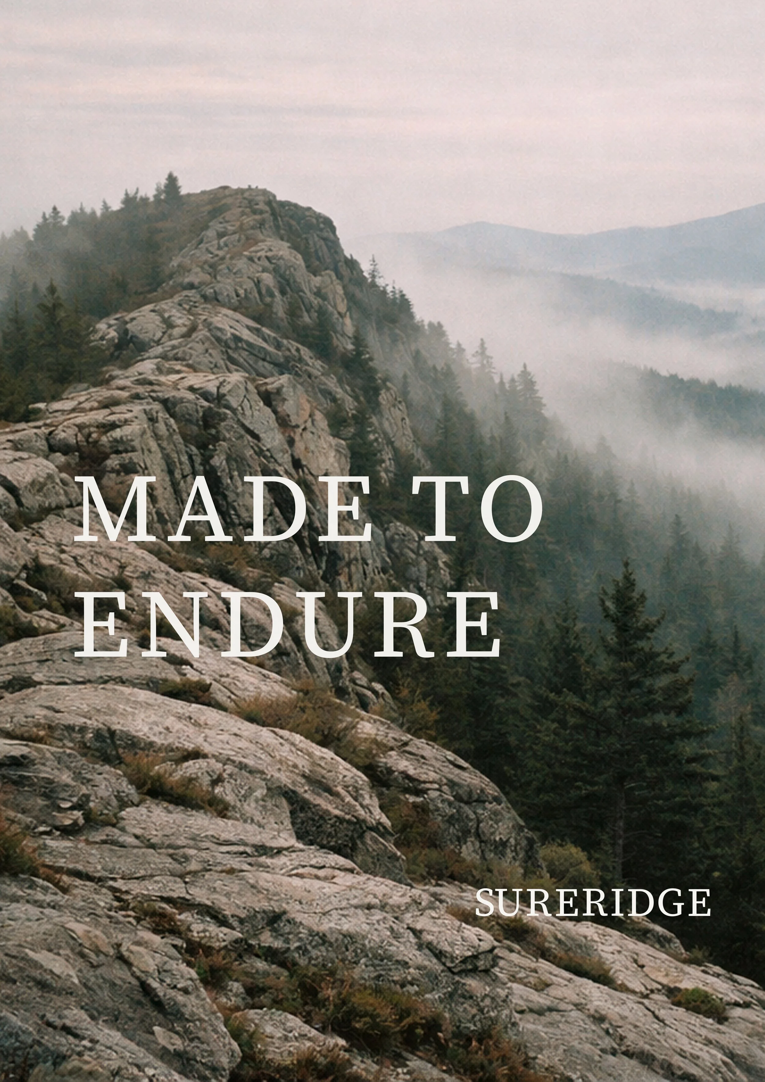 poster_Sureridge-01 final.jpg