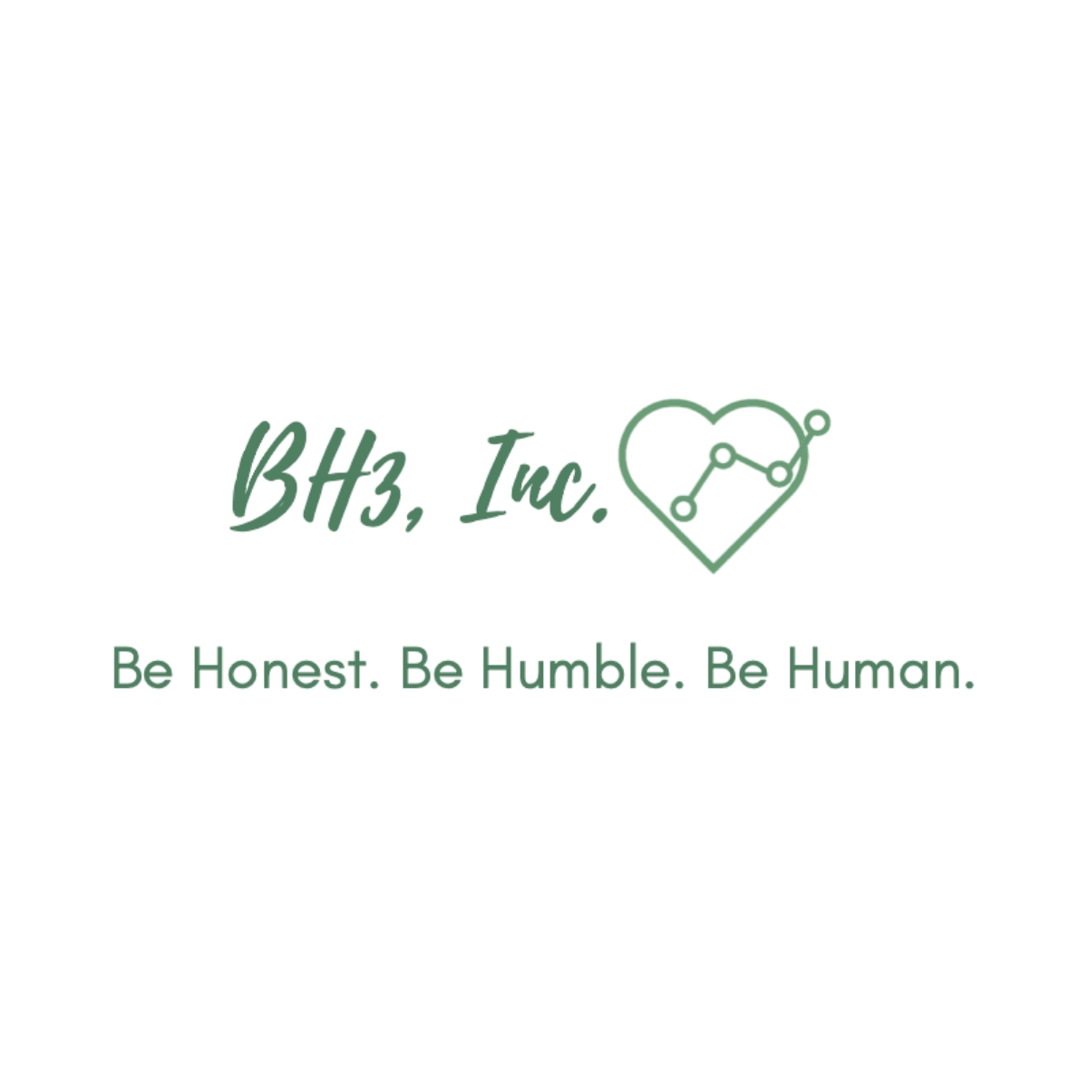 BH3 Inc