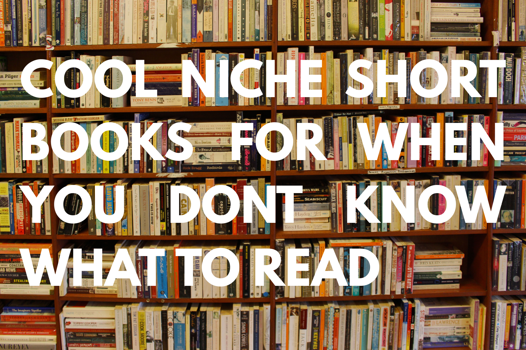 Cool Niche Short Books For When You Dont Know What To Read