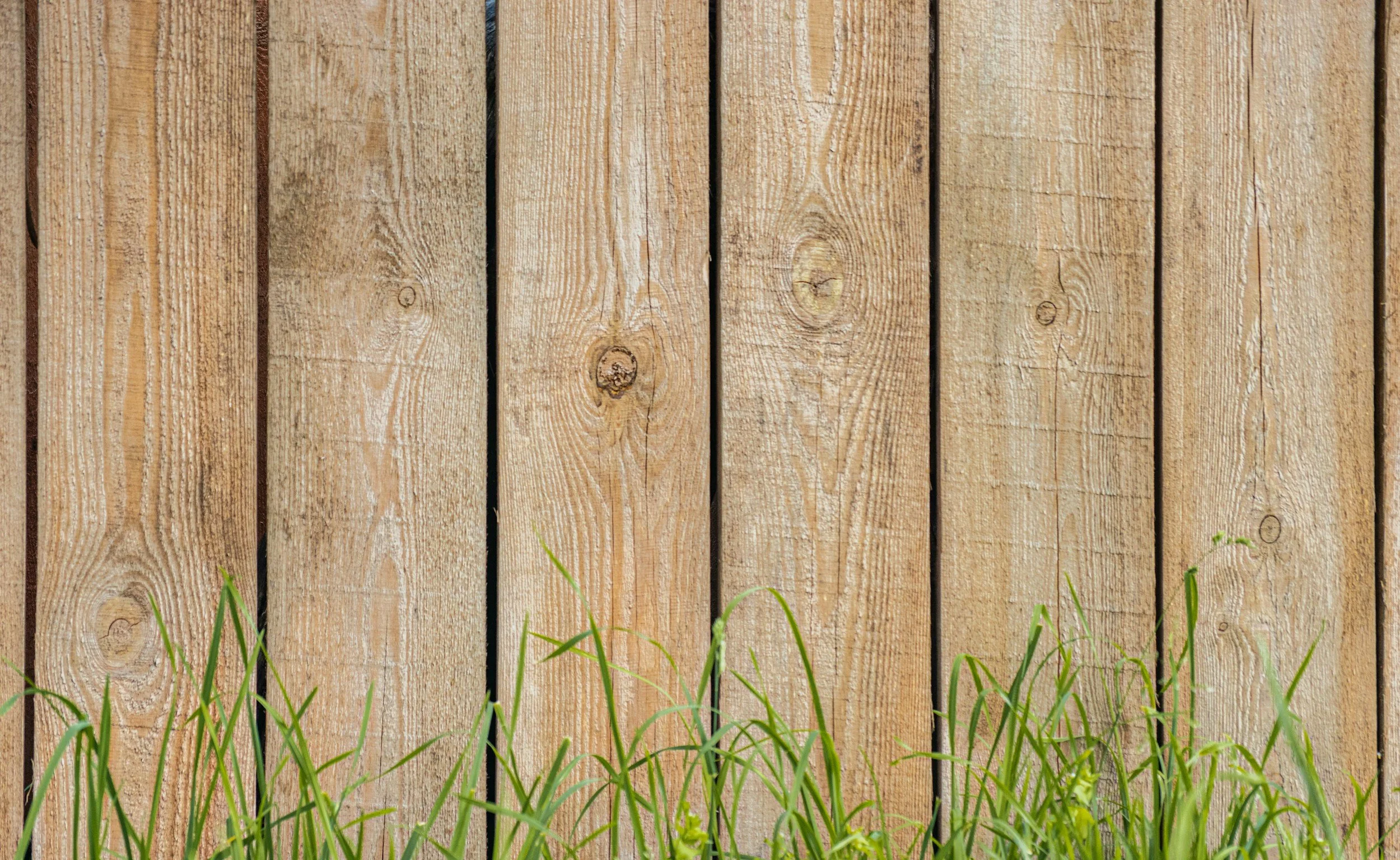 Close-up of a wooden fence with green grass at the bottom.