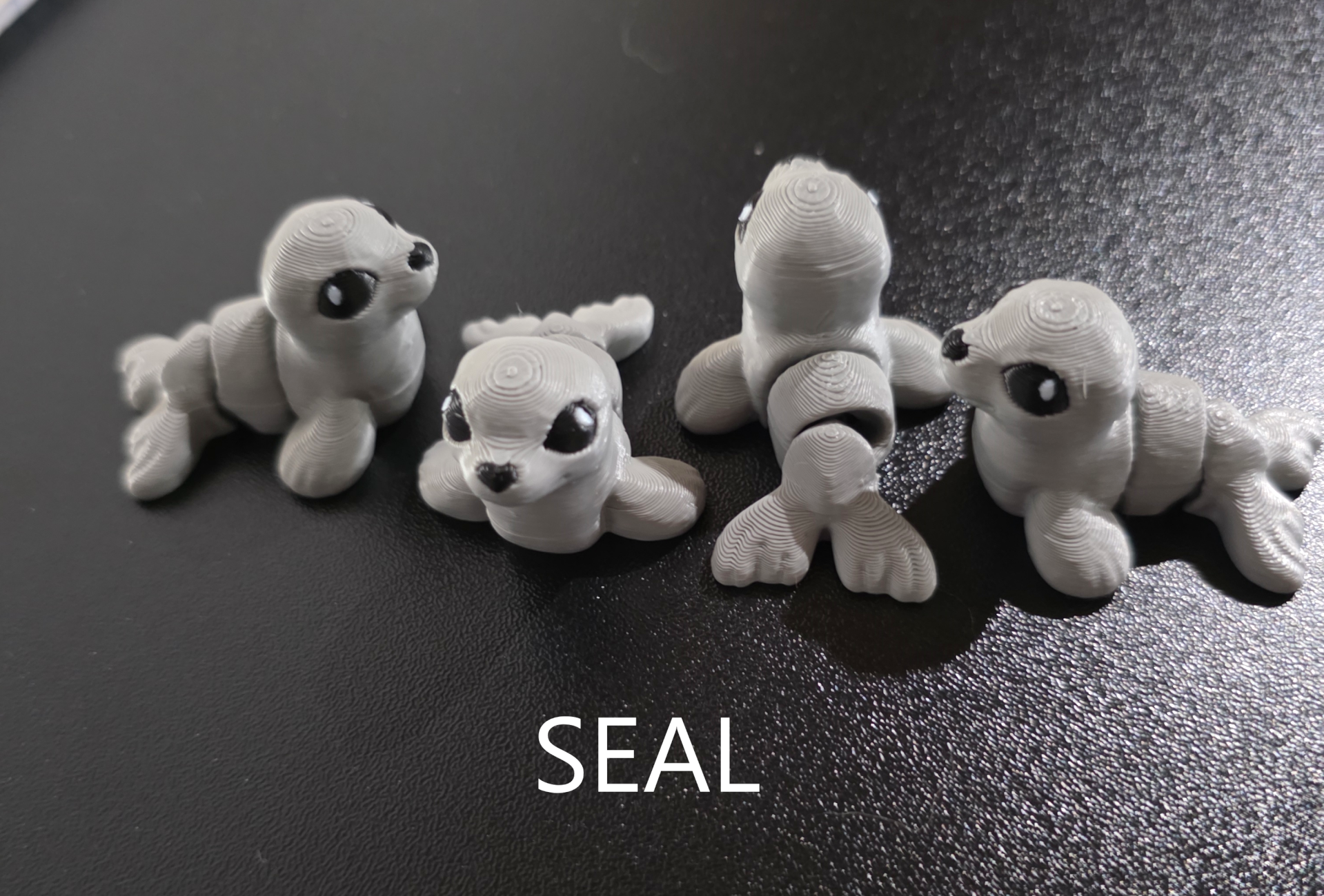 seal-1.png