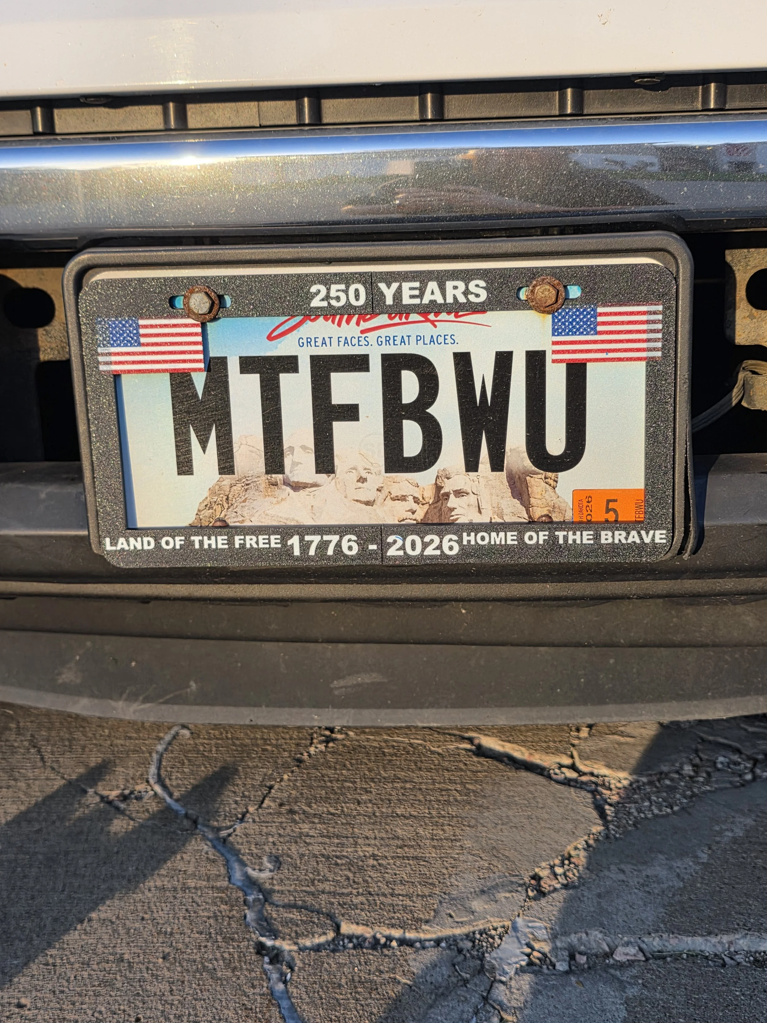 Custom license plate cover "USA"