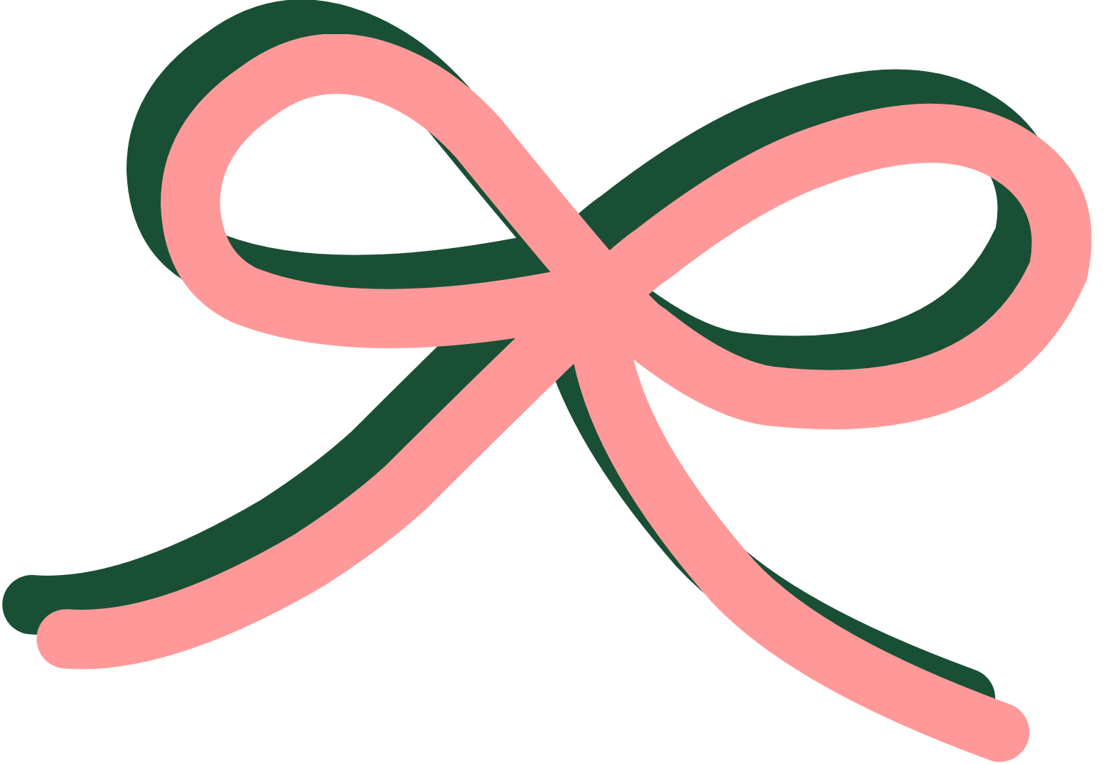 Pink and dark green intertwined ribbon forming a bow.