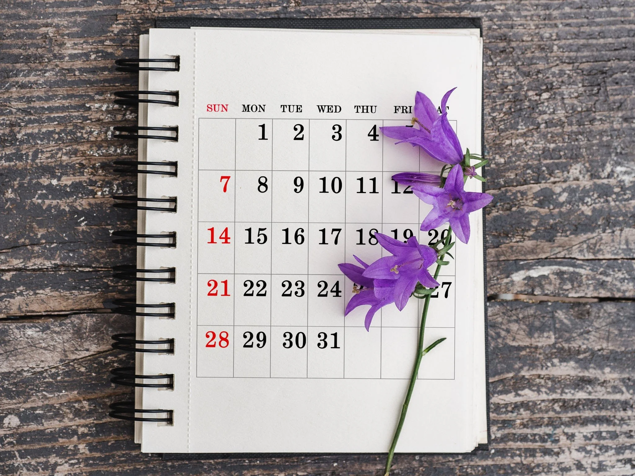 Spiral-bound calendar open to May with purple flowers placed along the right side, on a wood surface.