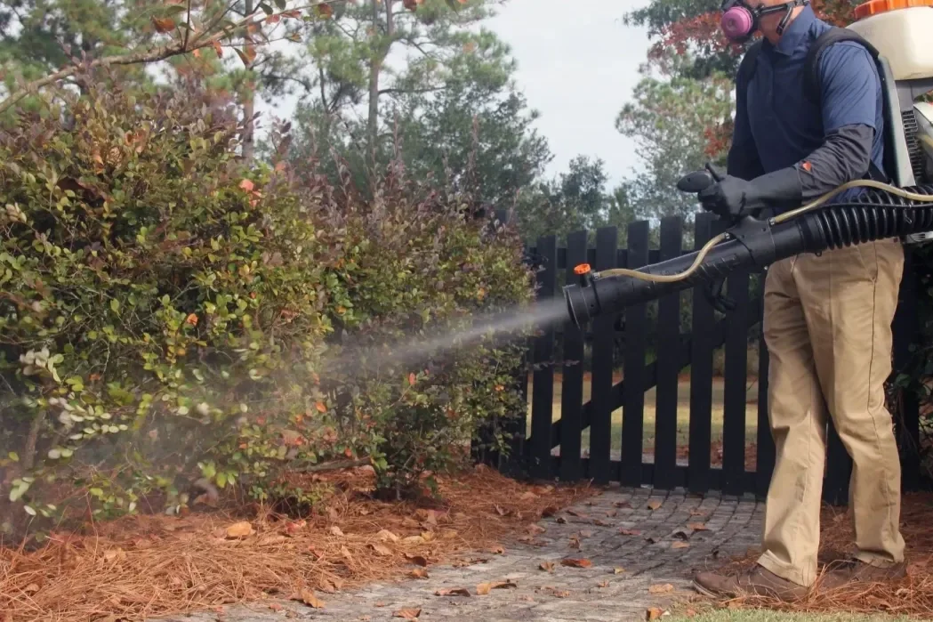 A person wearing protective gear is using a backpack sprayer to spray pesticides or herbicides on shrubs in a garden.