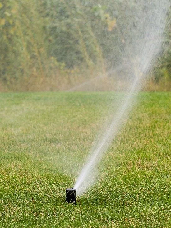Sprinkler watering a grassy lawn.