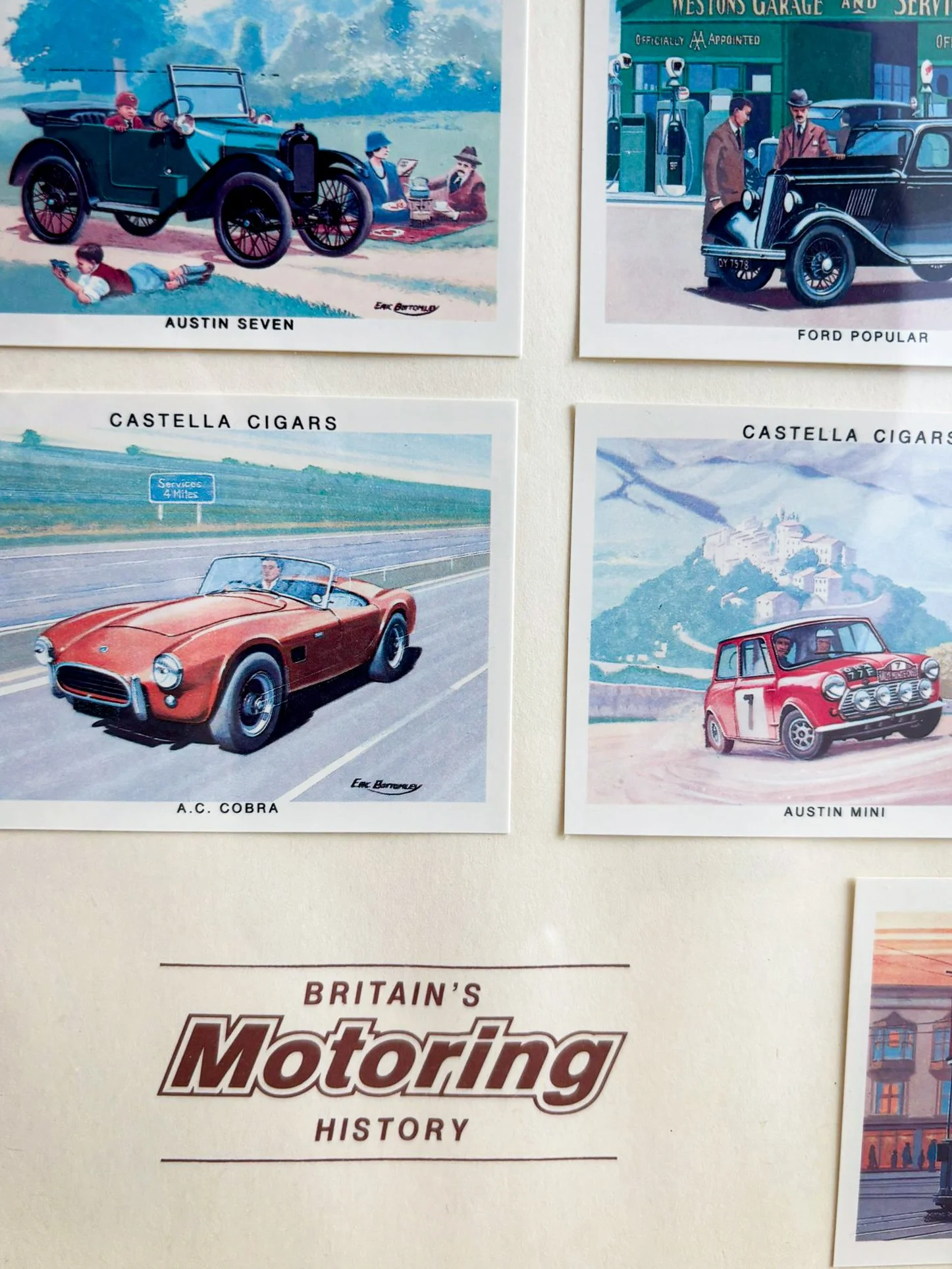 WhatsApp Image 2026-02-27 at 13.07.39 (4).jpg