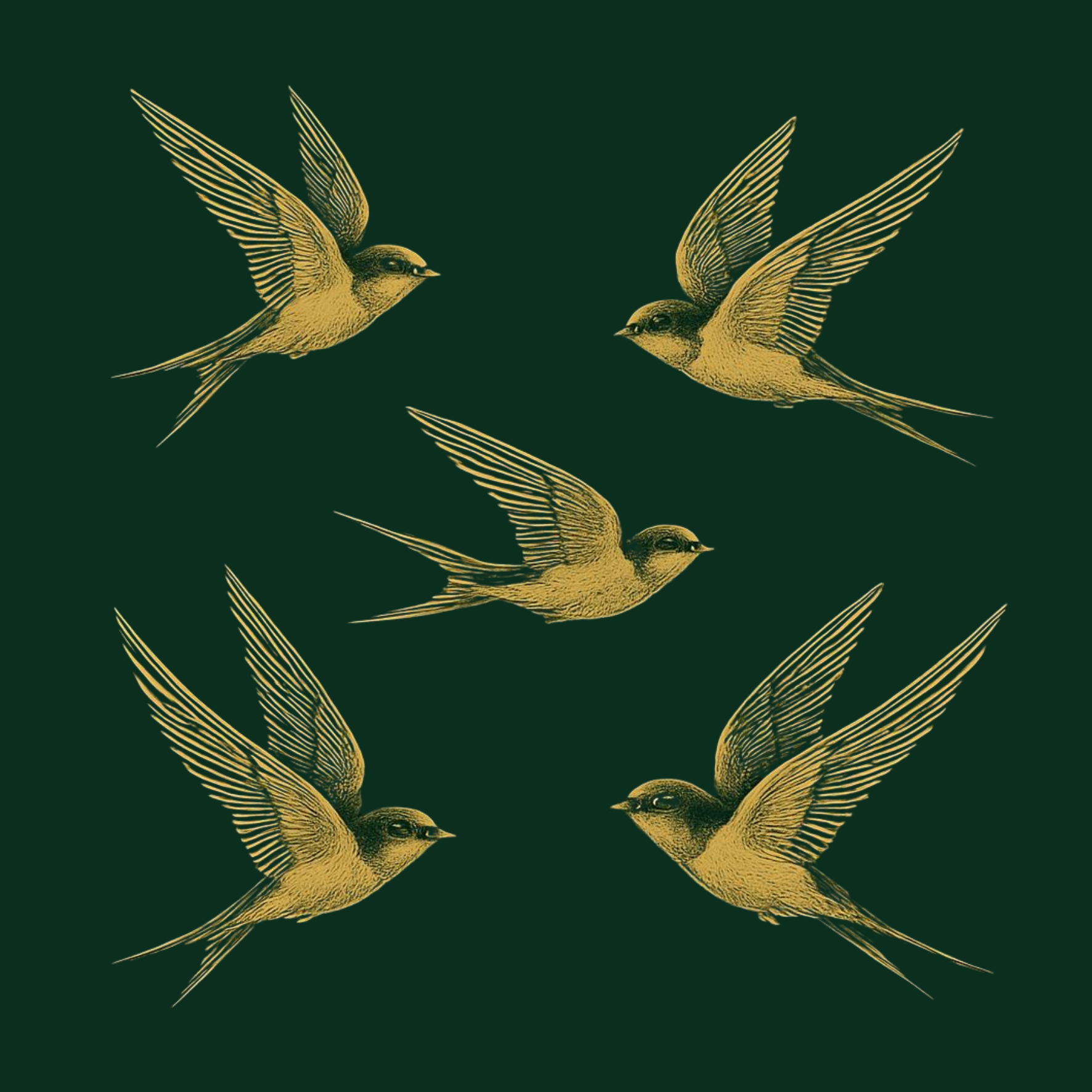 Myddleton Road Emporium Grand Raffle Entry