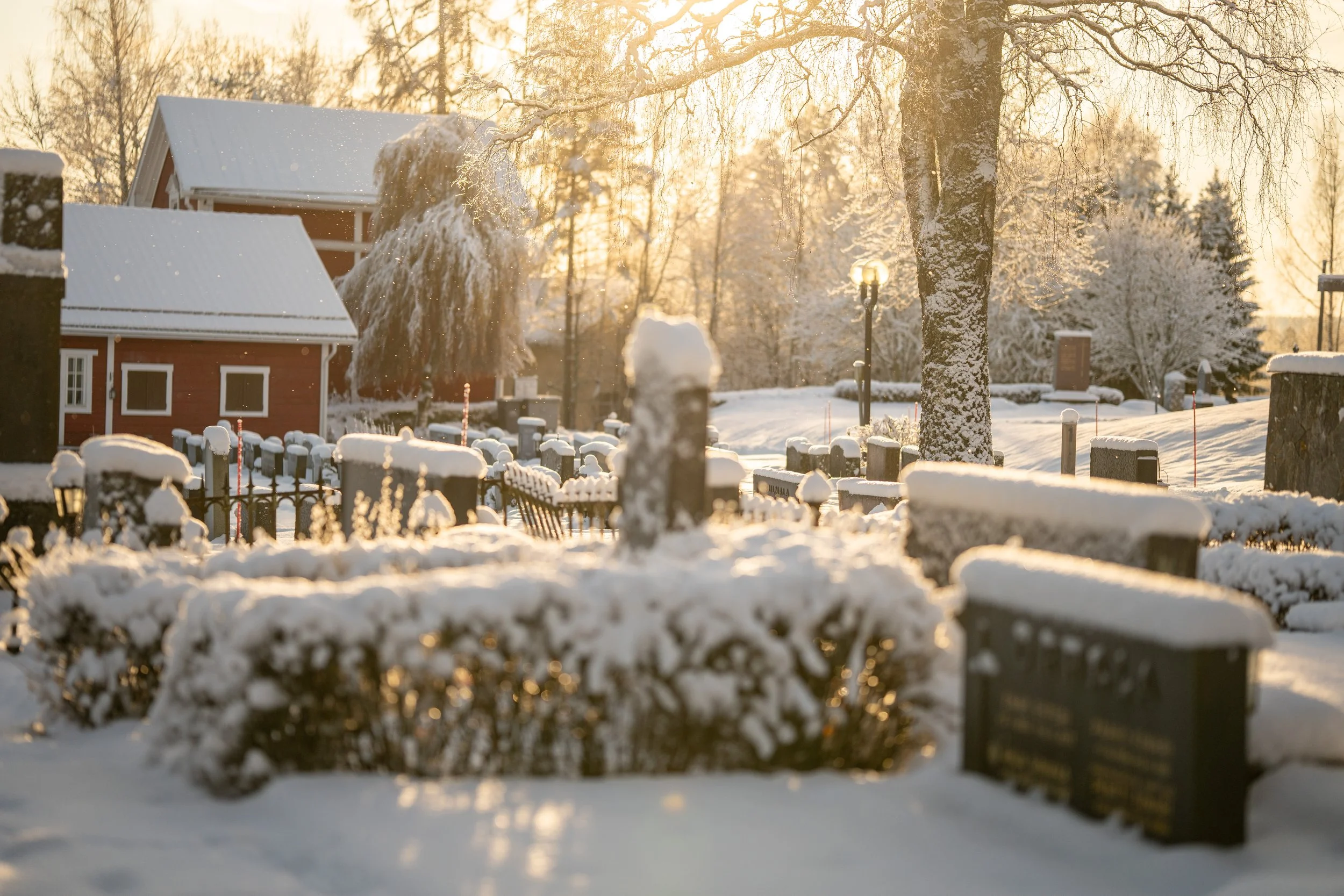Snow-covered cemetery with headstones, benches, and trees at sunset.
