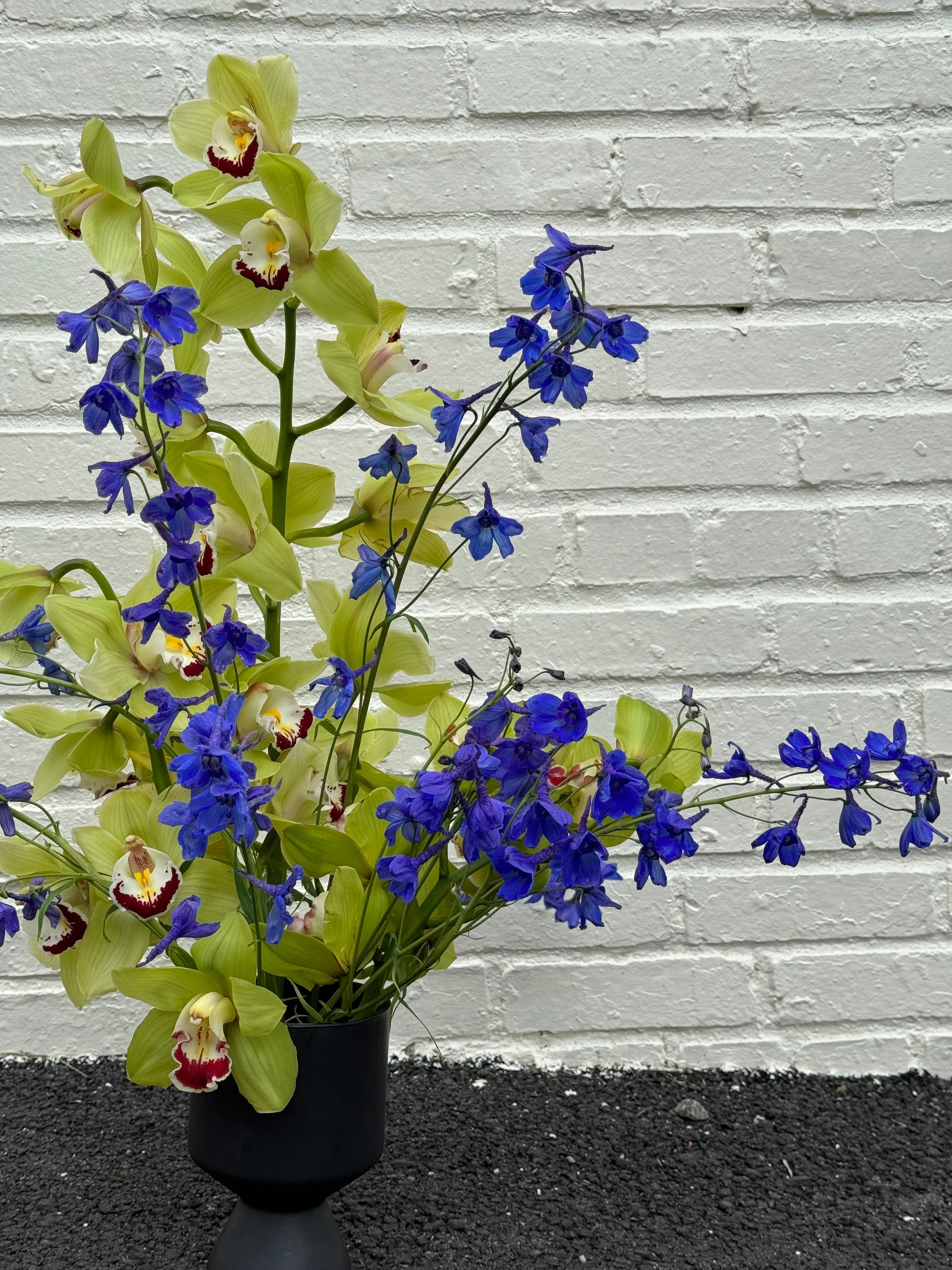 A black vase holding a mixed bouquet of yellow-green orchids with red and white centers and blue delphinium flowers against a white brick wall.