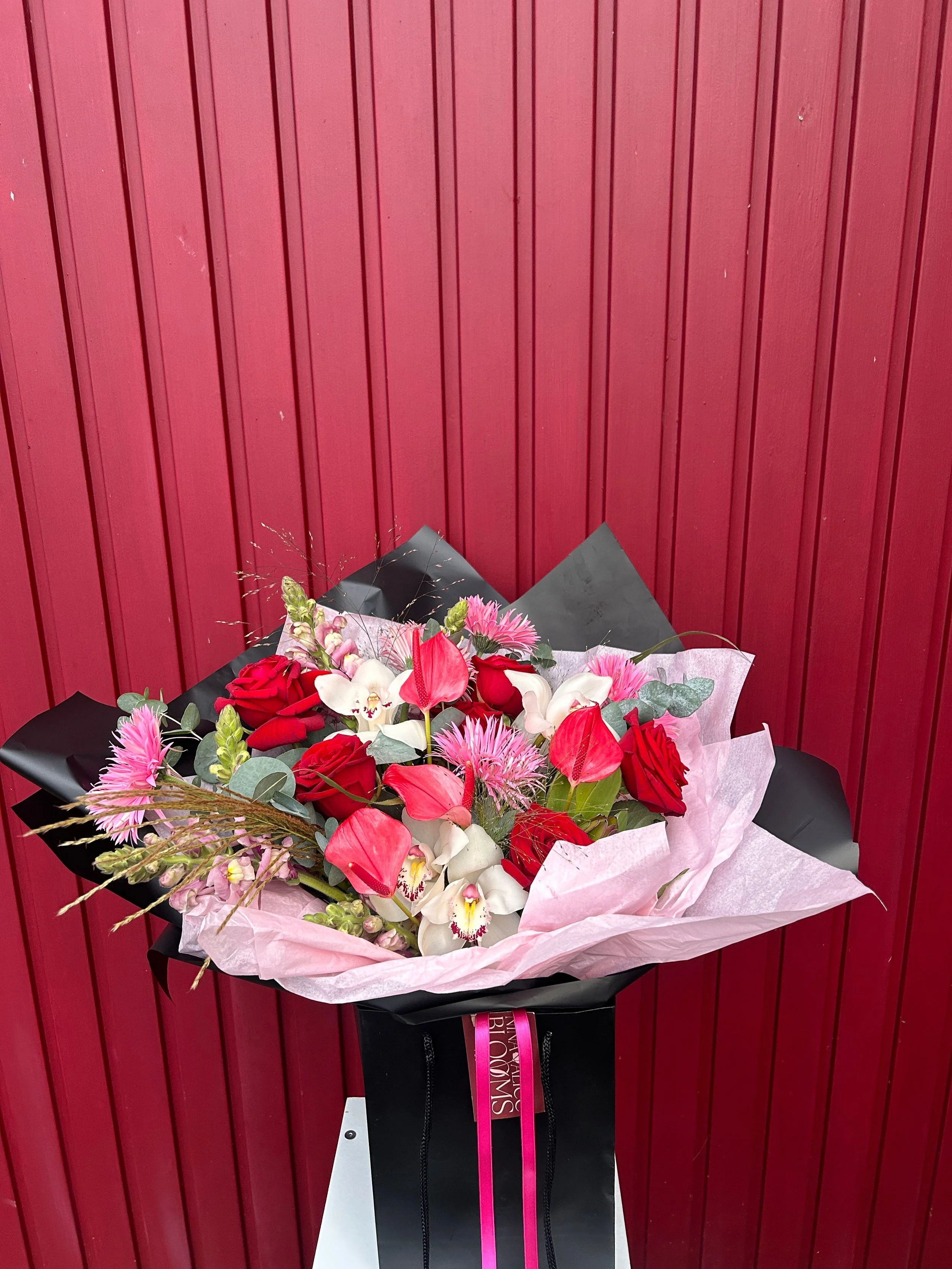 E09369F1-5535-44EA-9AD4-5A34C14836EF_L0_001-1_26_2026, 6_02_18 PM.jpg