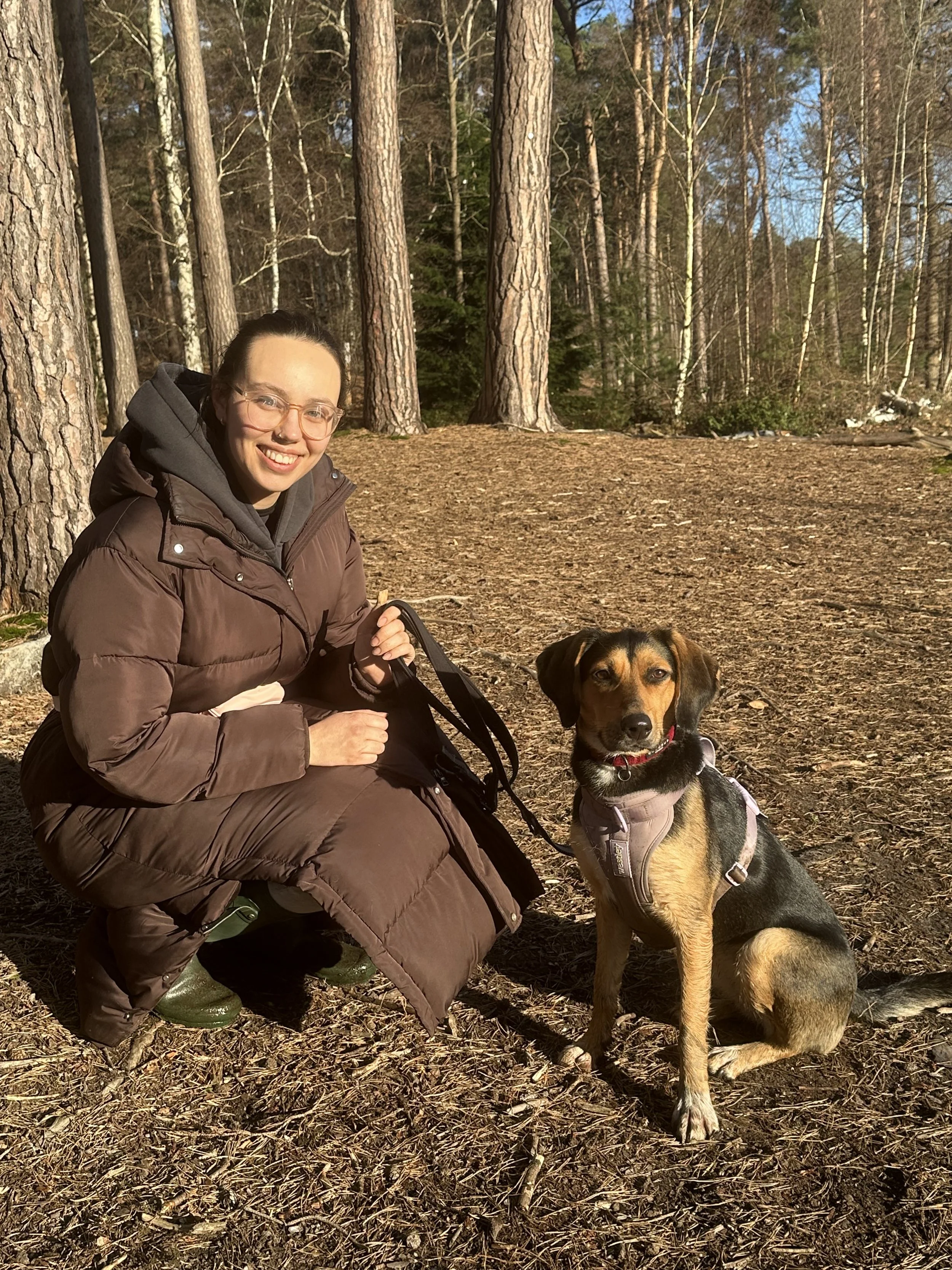 Dog trainer with dog on woodland walk