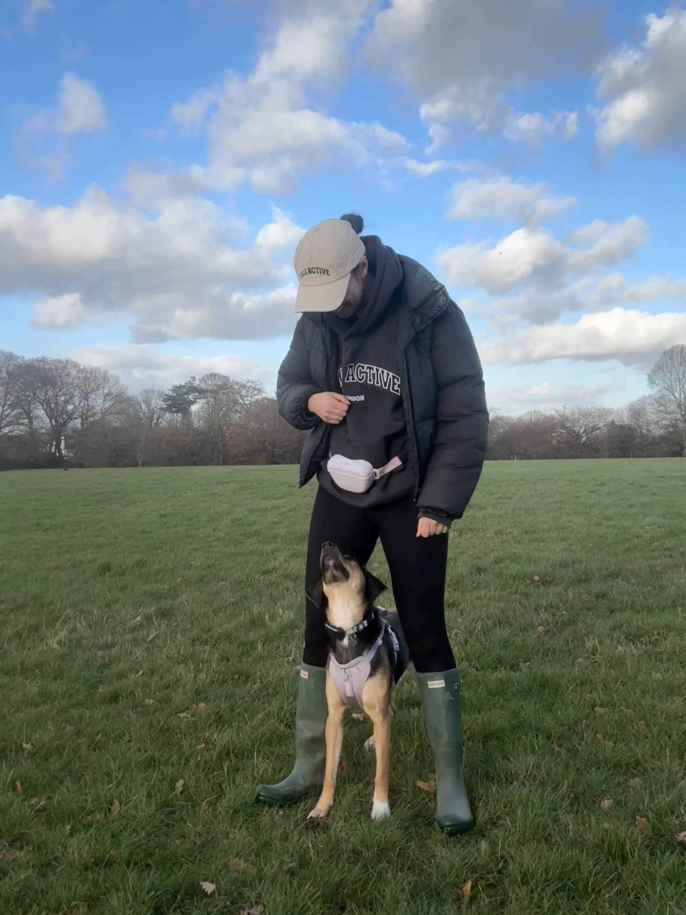 Dog trainer training dog in middle position in London park