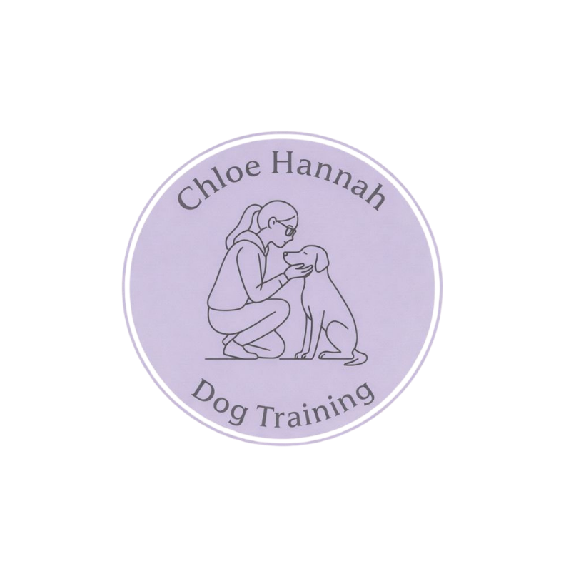 Chloe Hannah Dog Training