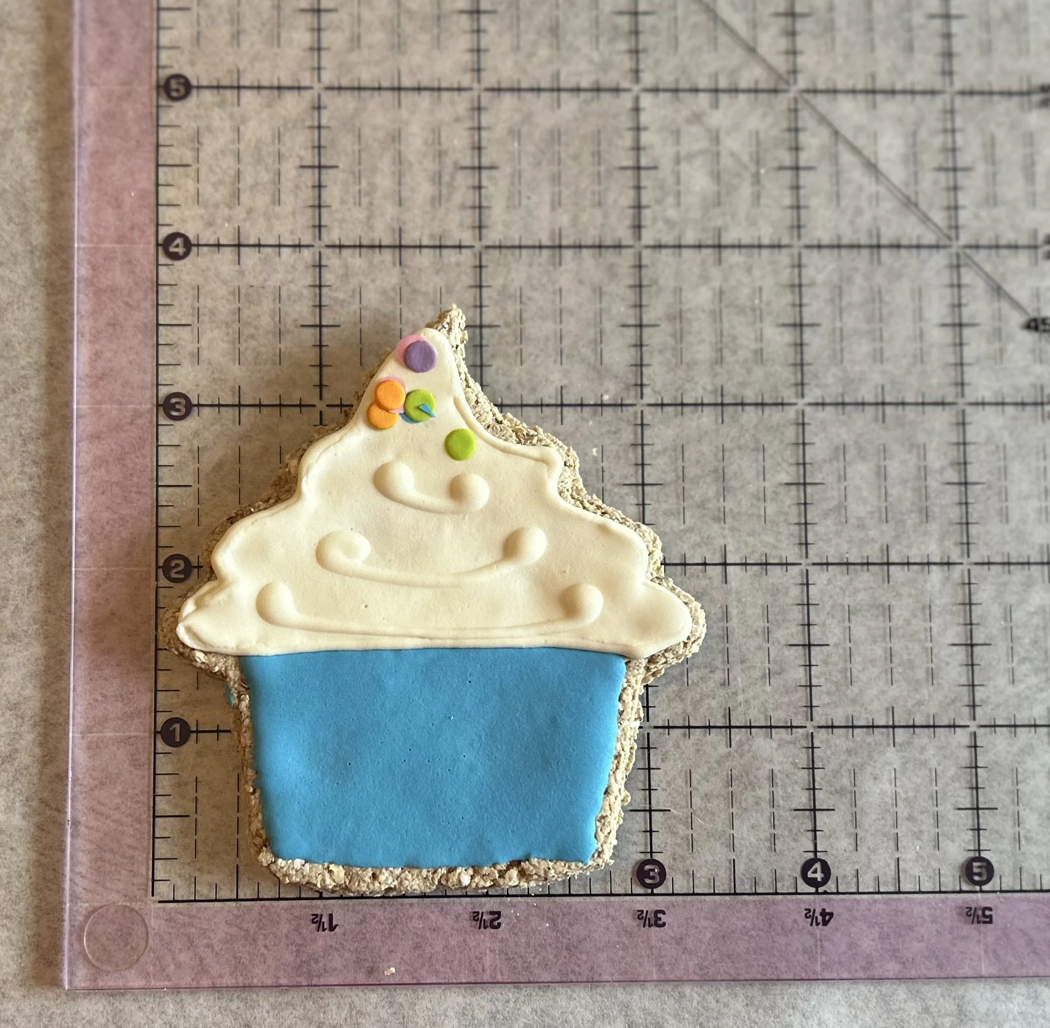 cupcake size (2).jpeg