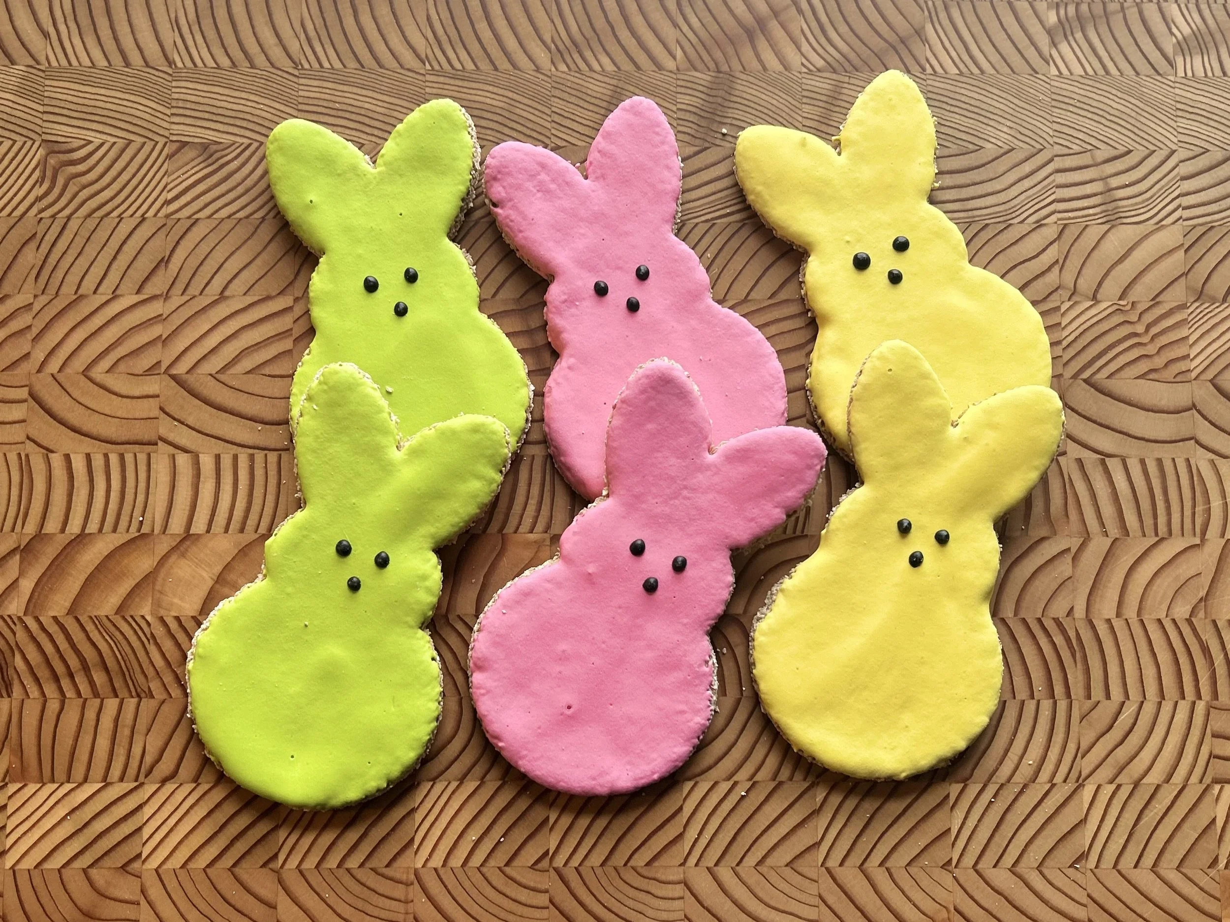 Bunny