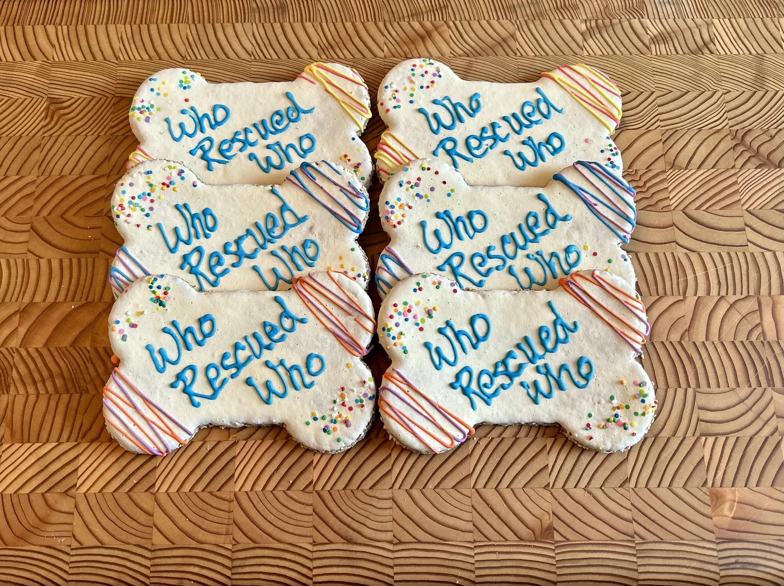 Who Rescued Who.jpeg