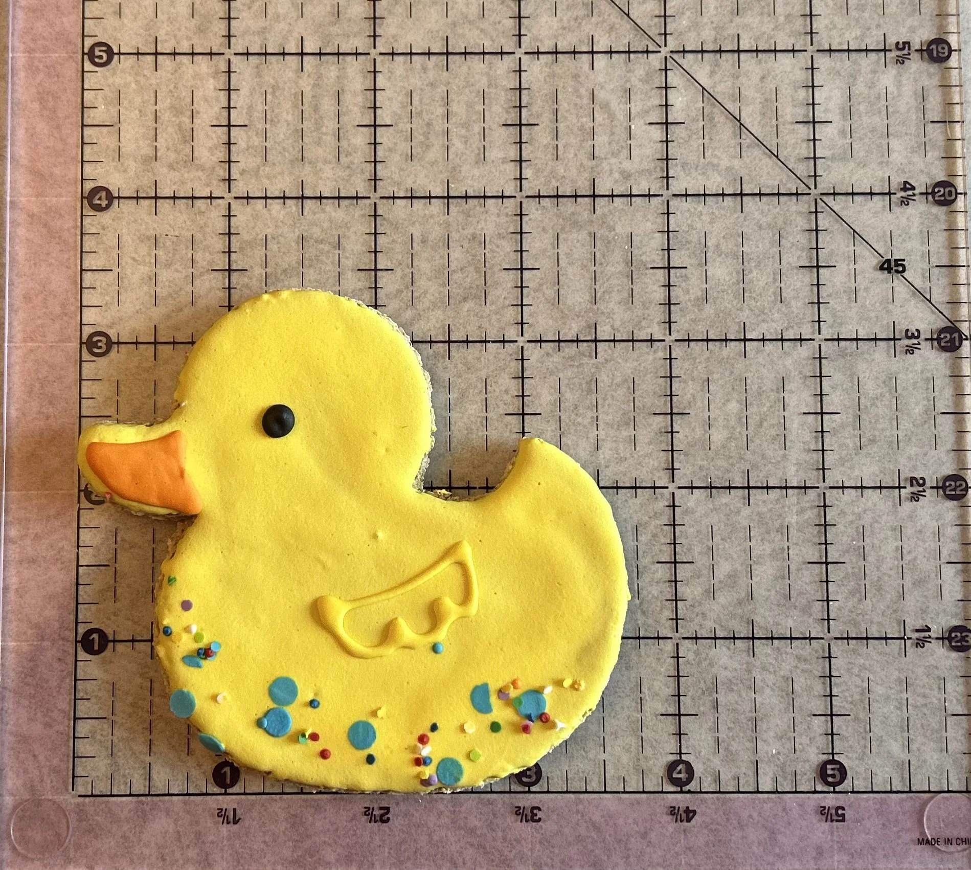 Duck size.jpeg