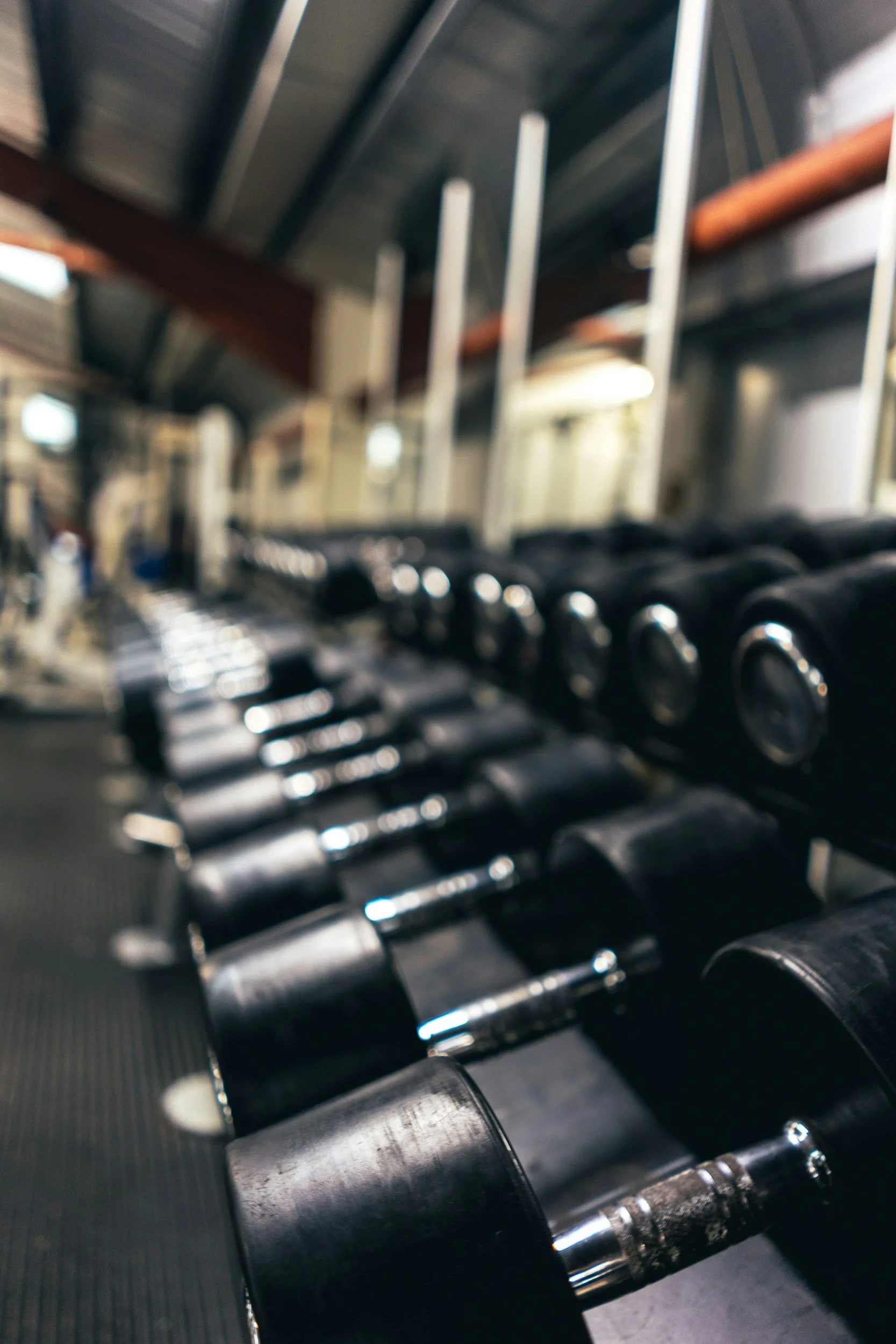 A row of black dumbbells on a rack in a gym, with a blurred background.