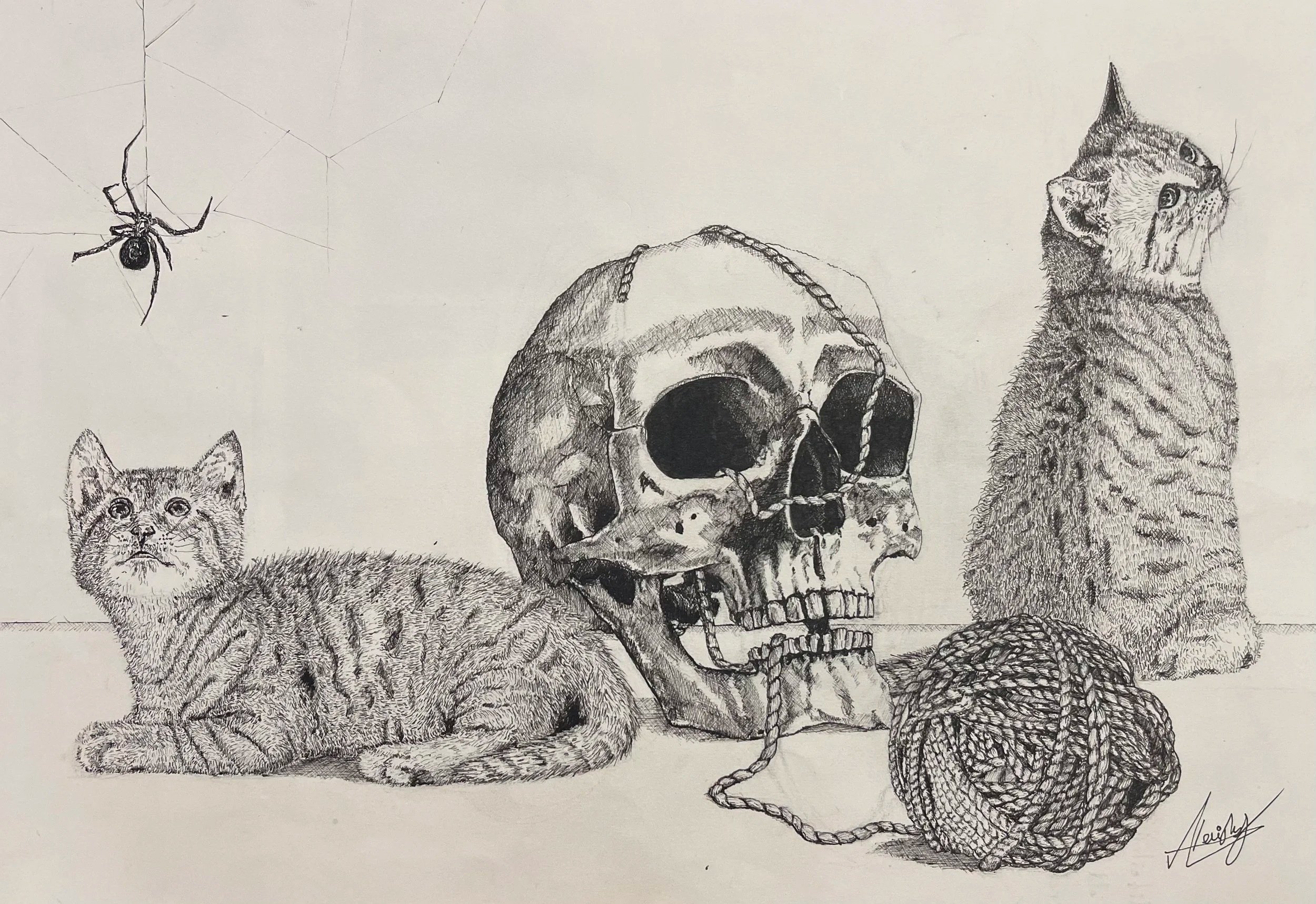 A detailed pencil drawing of a skull with a rope around it, a ball of yarn, a sitting tabby cat with striped fur, a standing cat looking upwards, and a spider hanging from a web in the top left corner.