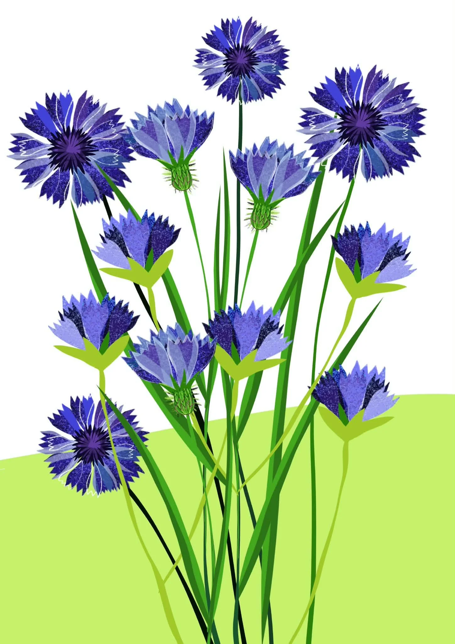Cornflower Print