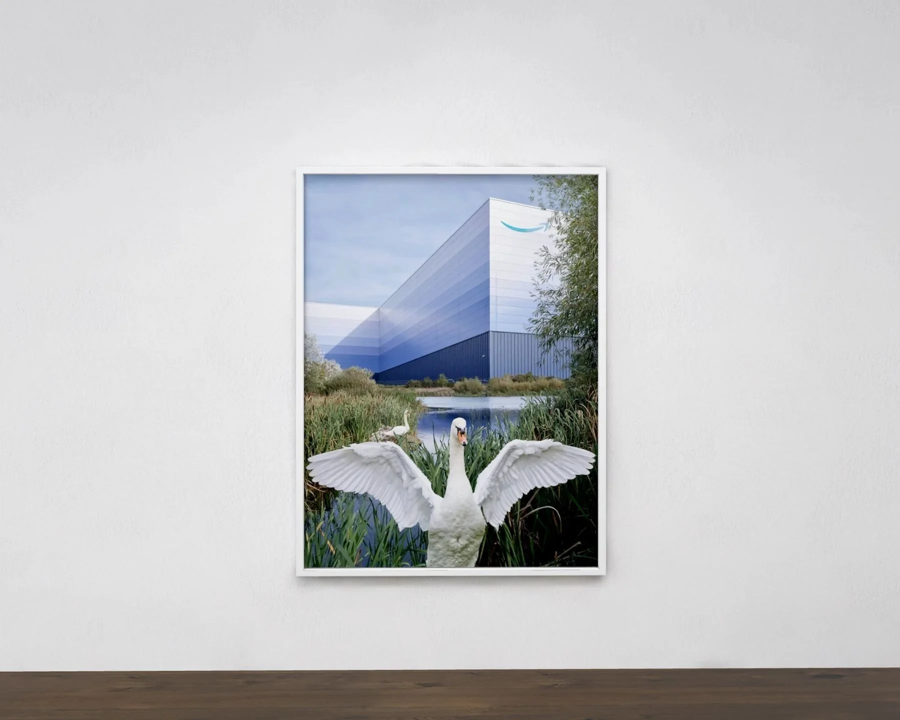 swan_wall_website.jpg