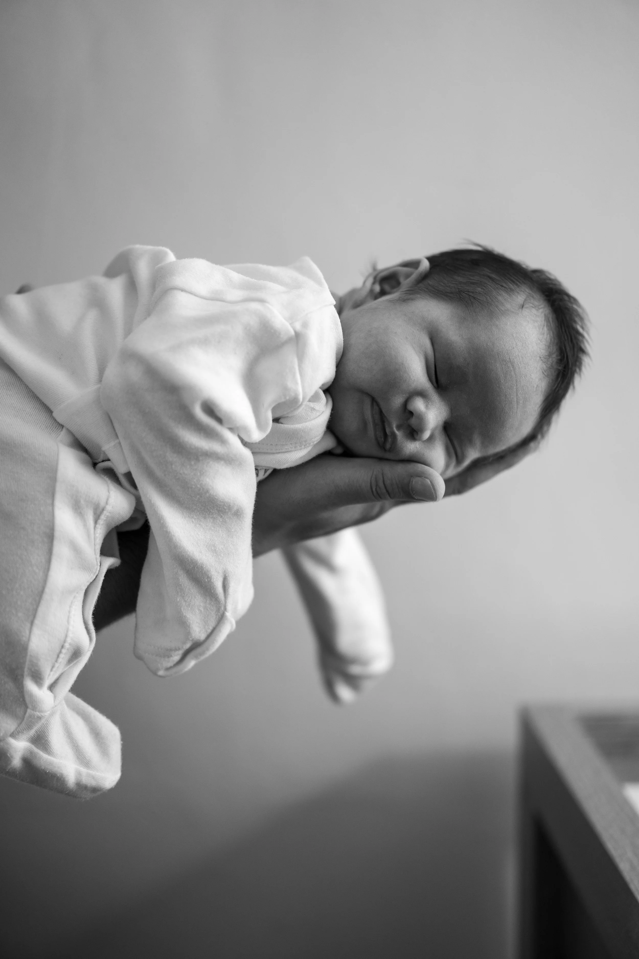 Baby Arthur 