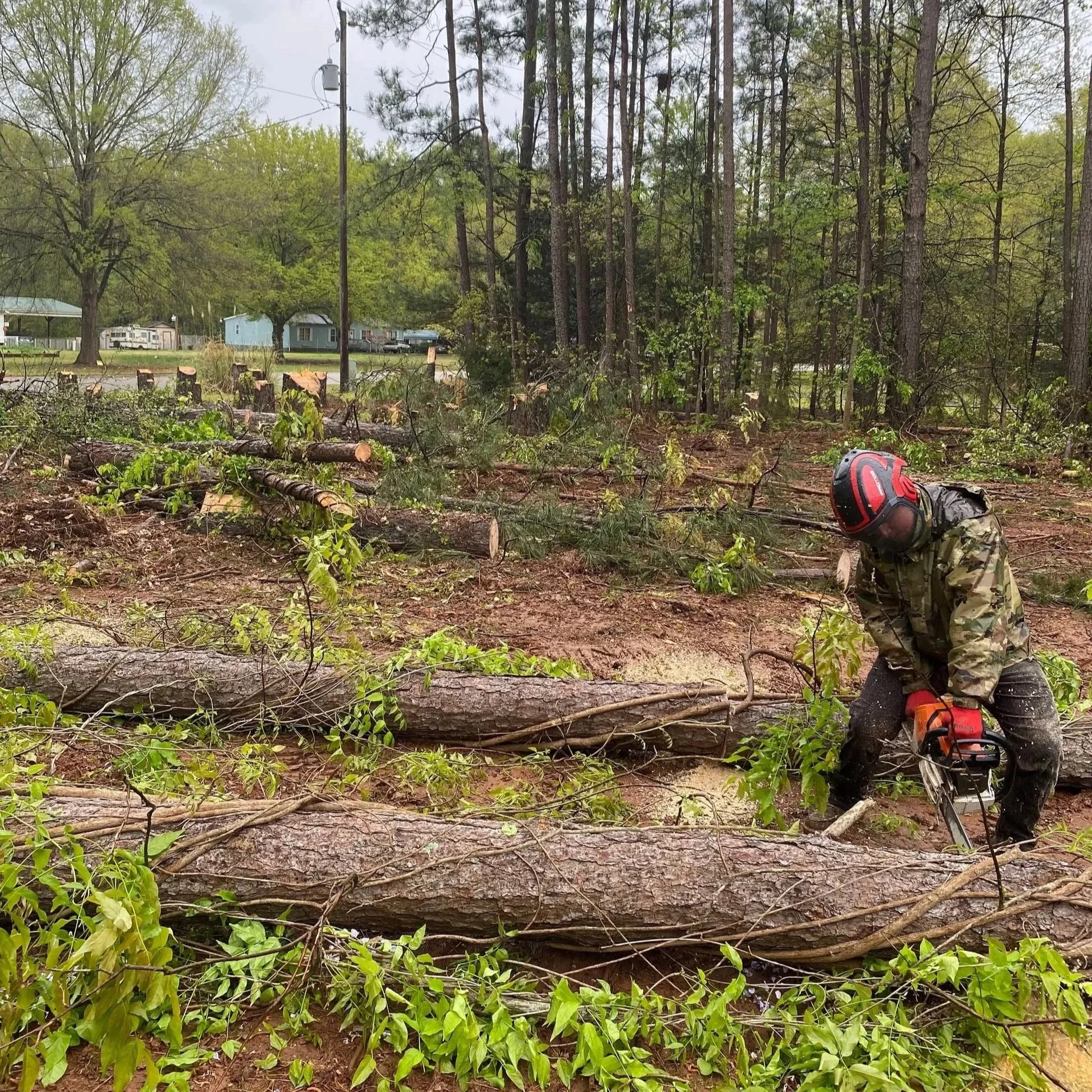 Land Clearing Services