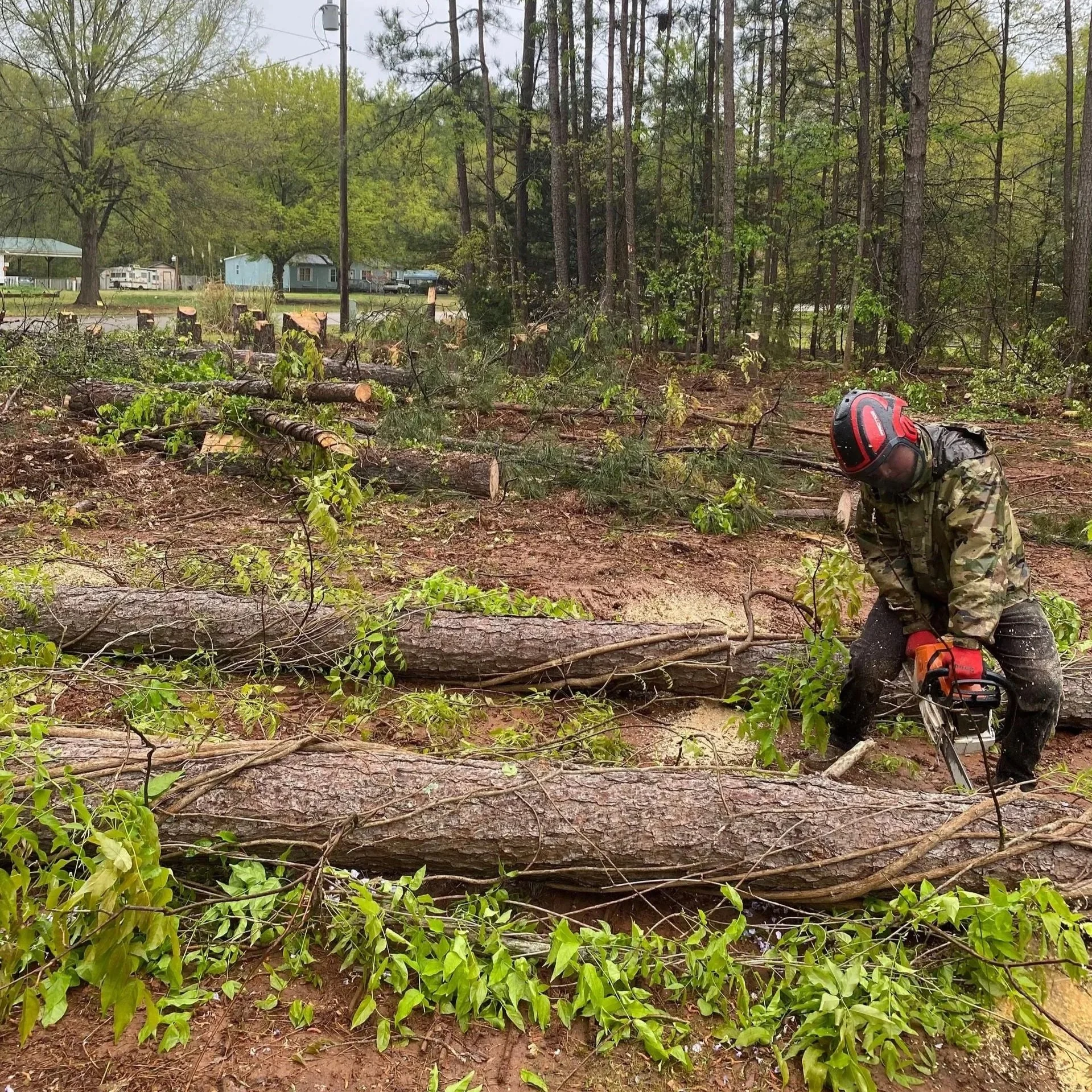 land clean up
