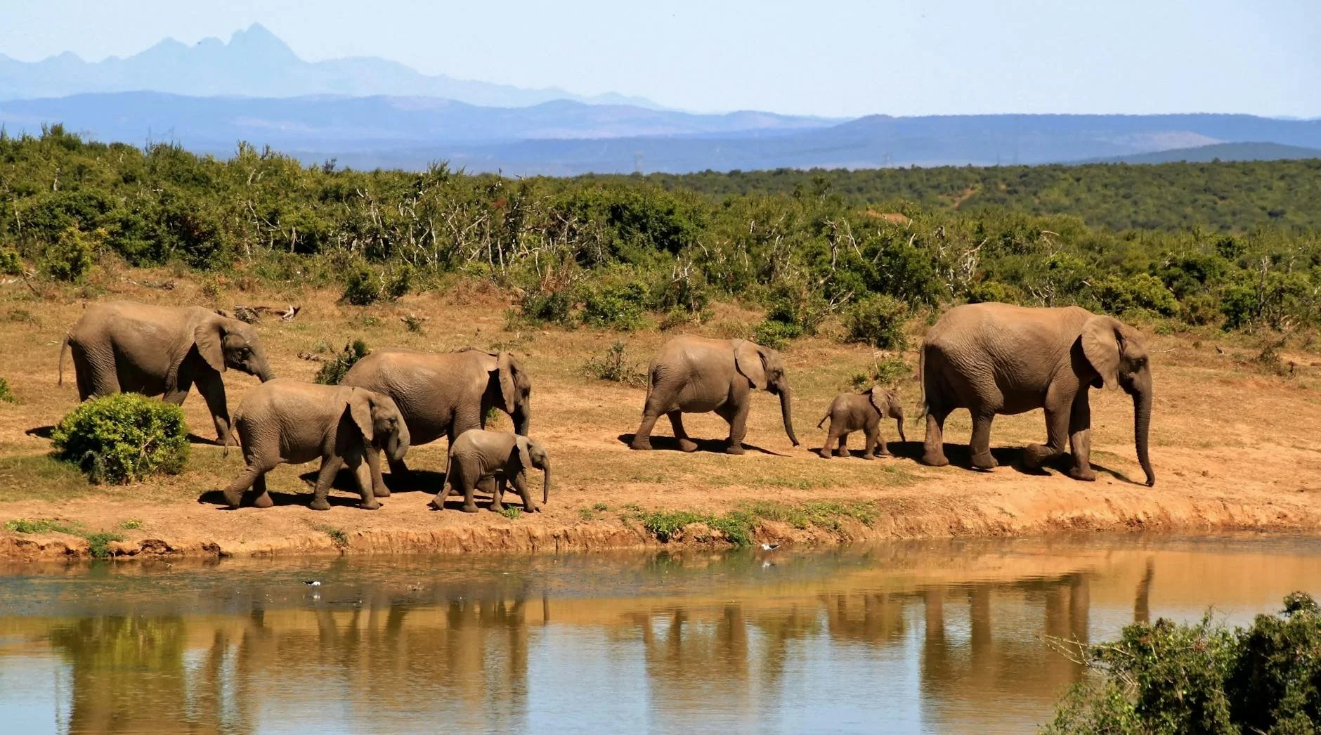 Discover the week-long package holiday with winter sun, wine and the big five for less than £500