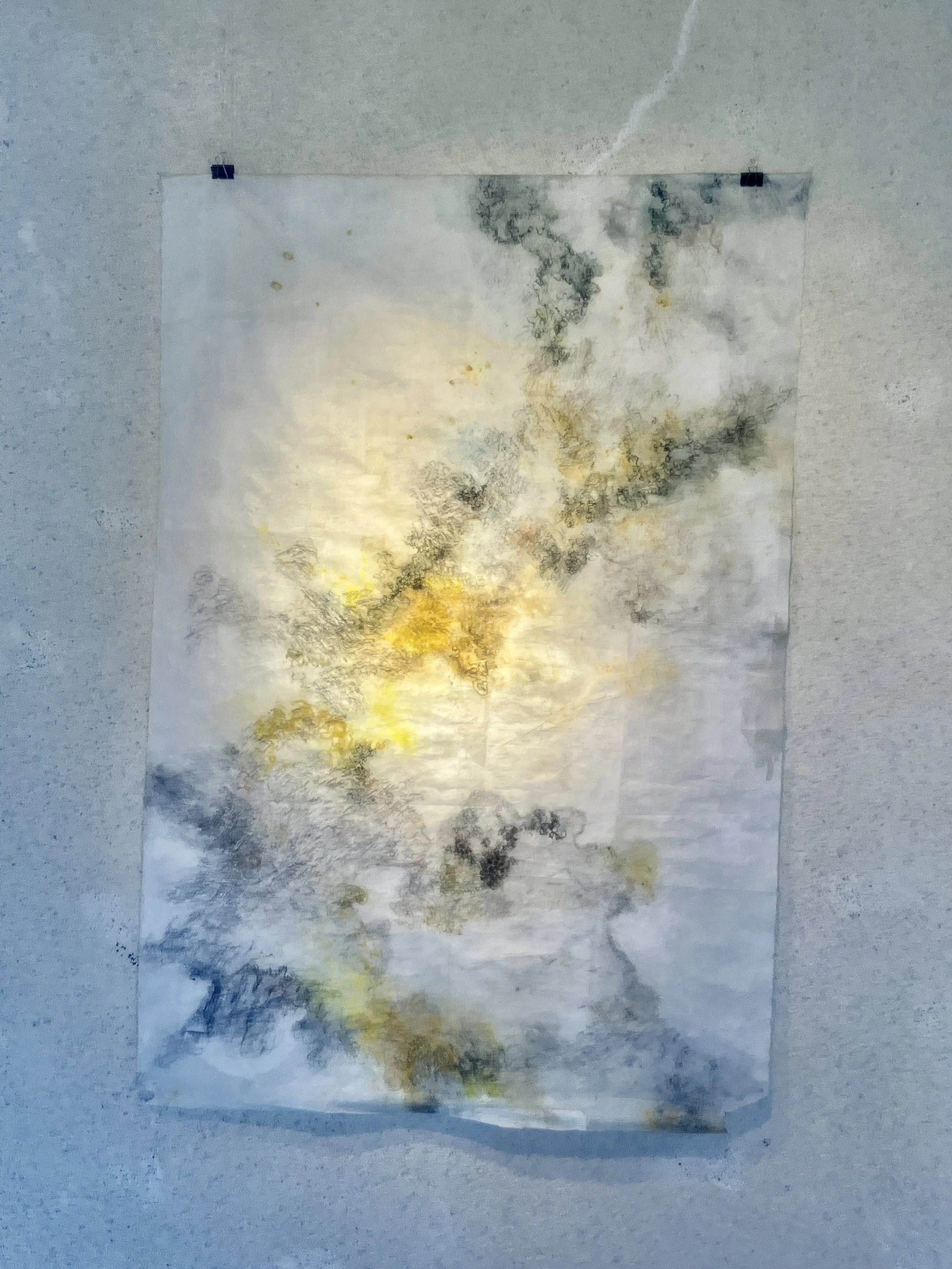 Lichen, 2025, Monotype, graphite and pencil on Wenzhou paper, 140 x 97 cm
