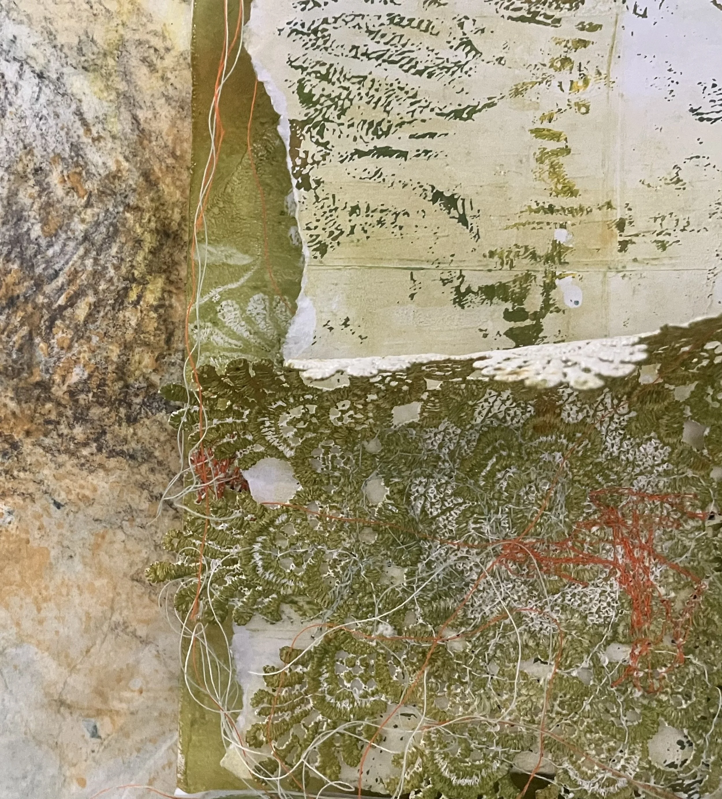 Lichen series (detail), monotype on range of papers, 2025