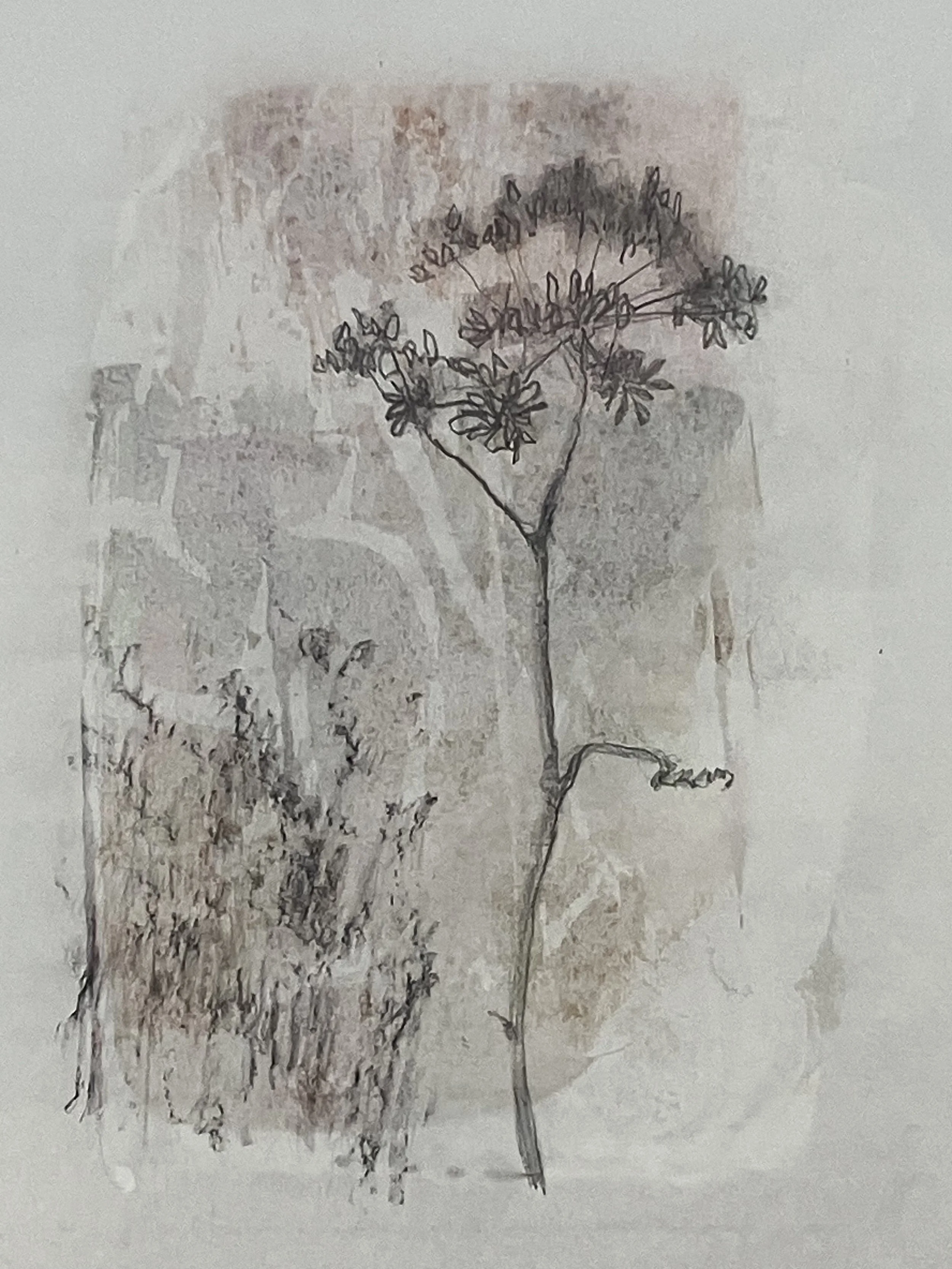 Seehead, monotype and graphite on Wenzhou paper on card, 21 x 30 cm, 2025