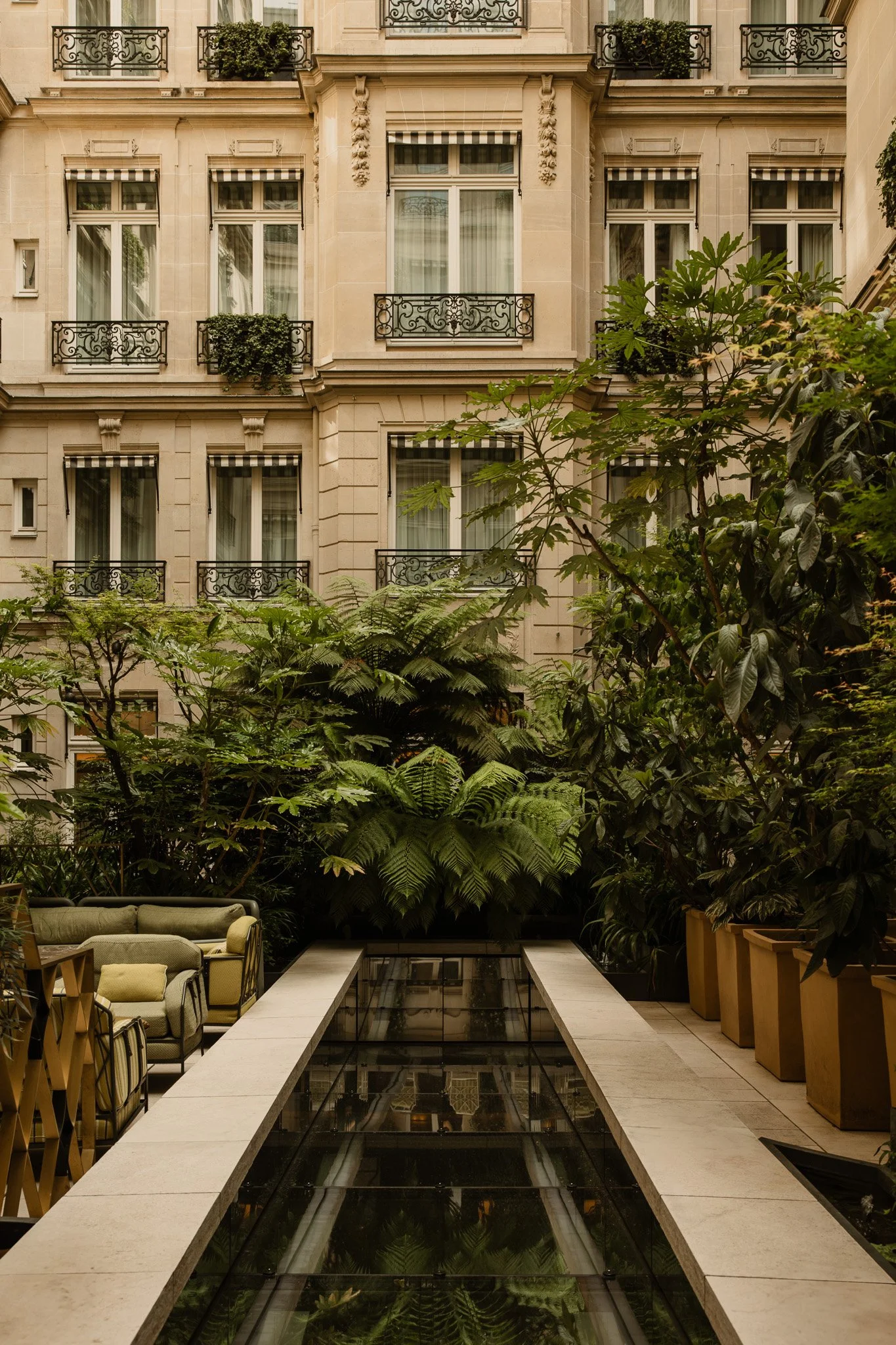 hoteldecrillon-nolwennpernin5.jpg
