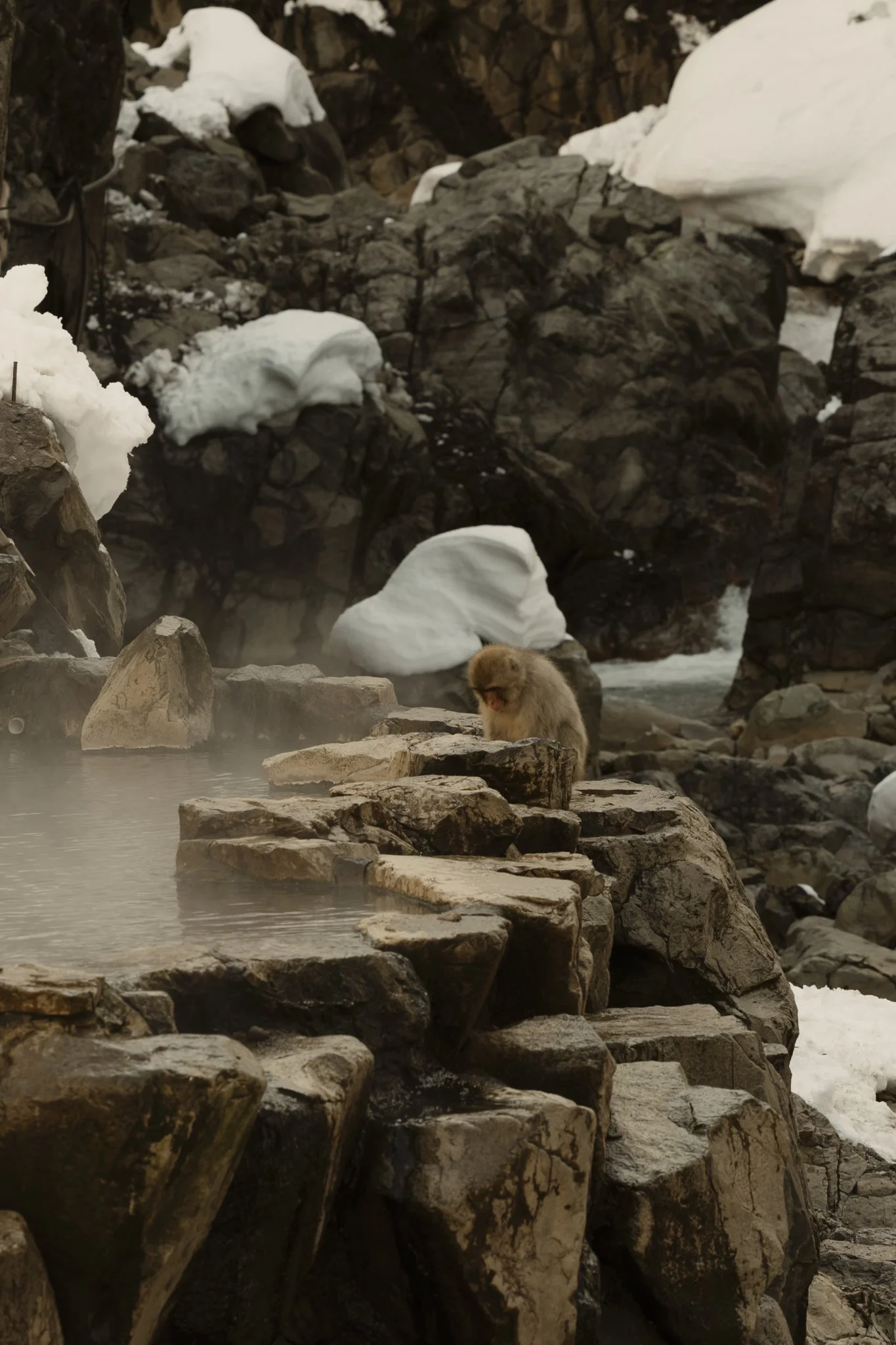 Japon-Hiver-NolwennPernin-42.jpg