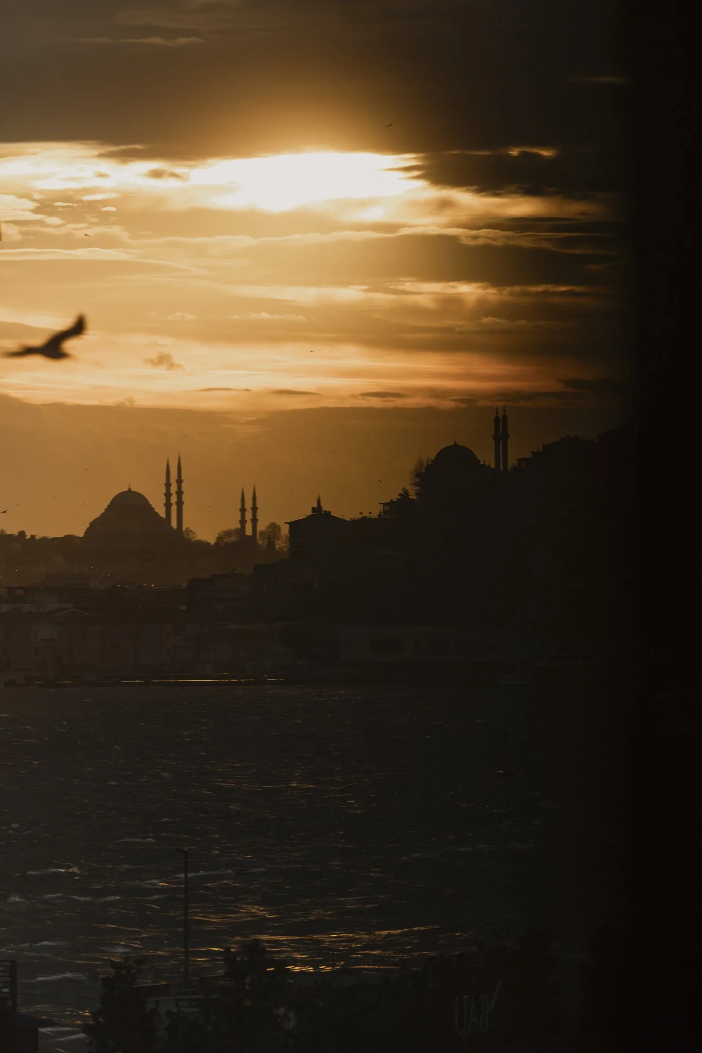 FS-Bosphorus-1.jpg