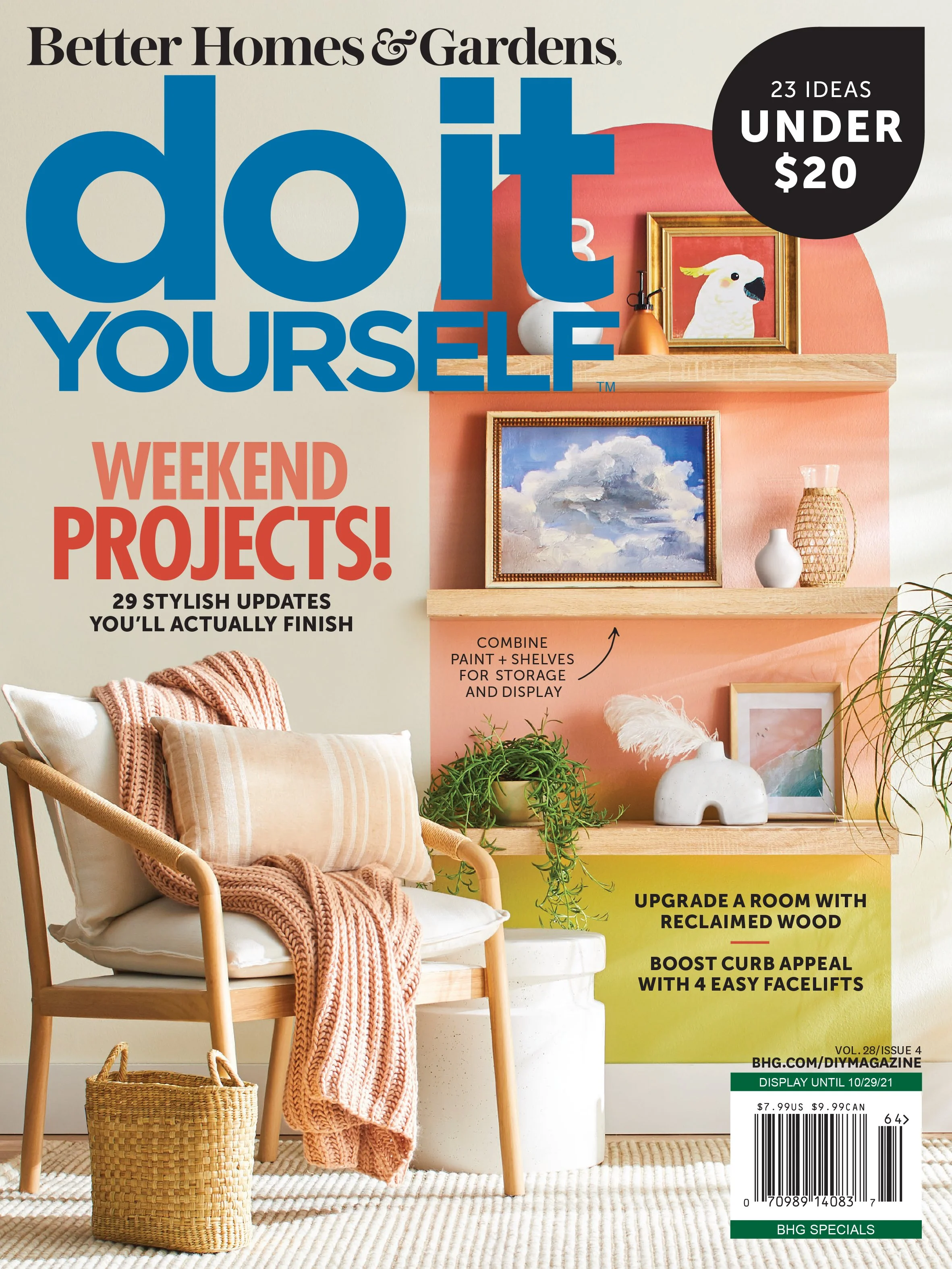 000-000 DIY1821 COVER_spreads-1.jpg