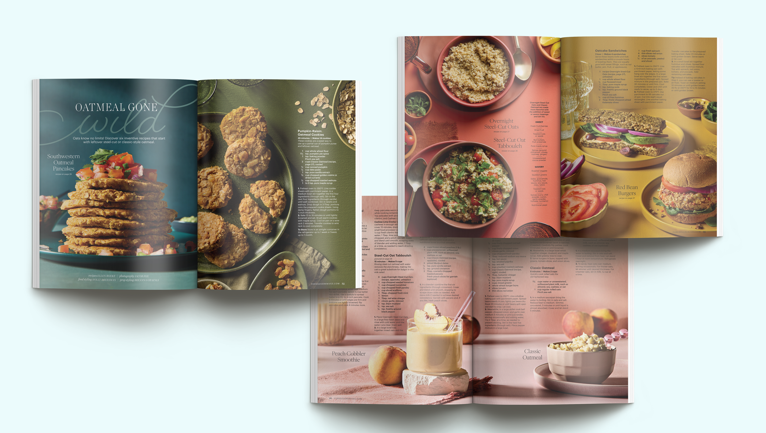 oatmealwild_portfolio.png